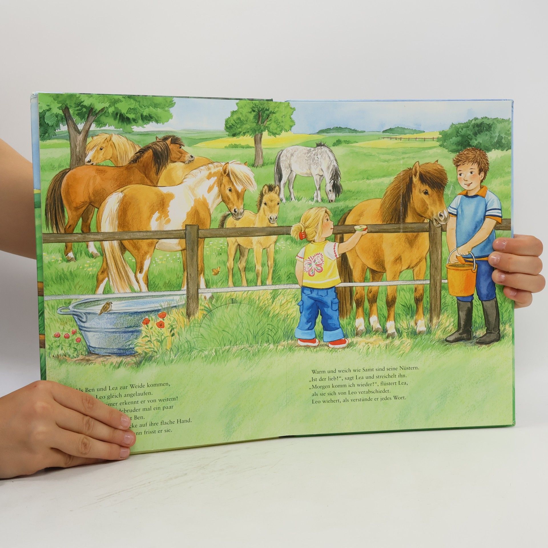 Ursel Scheffler Ein Pony für Lea