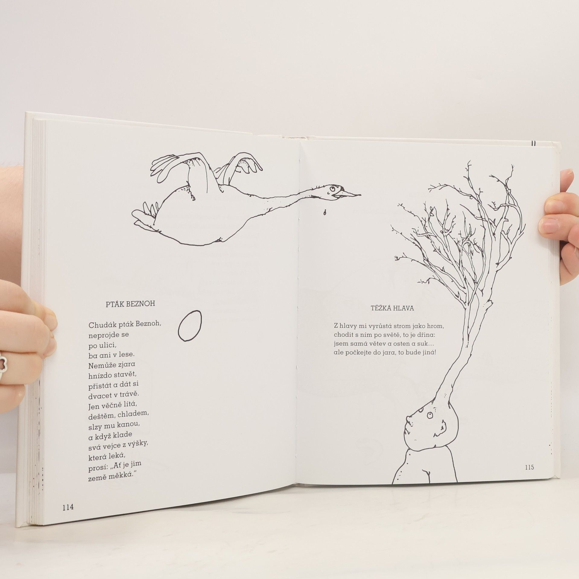 Shel Silverstein Jen jestli si nevymejšlíš