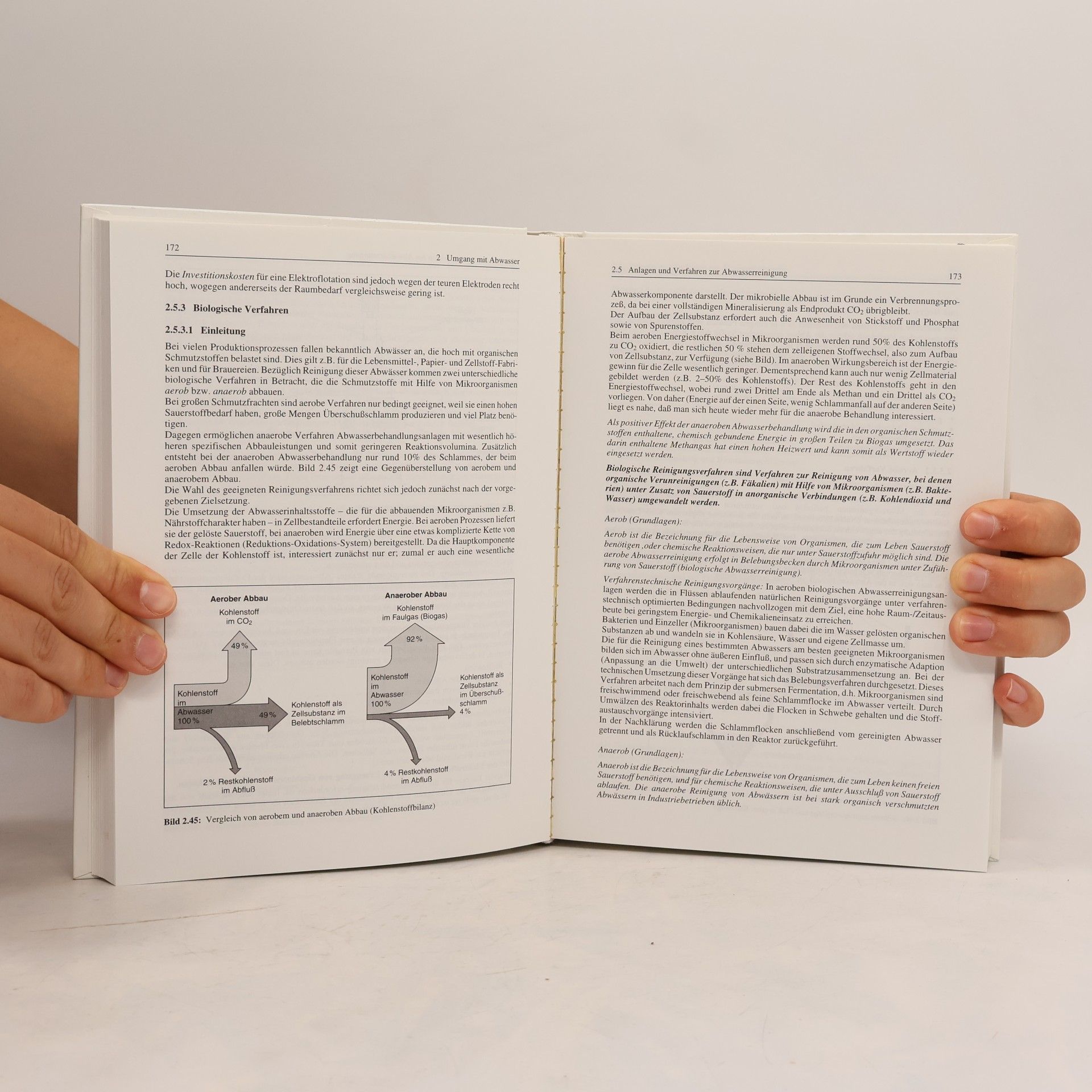 Iris Rötzel-Schwunk Viewegs Fachbücher der Technik: Praxiswissen Umwelttechnik, Umweltmanagement