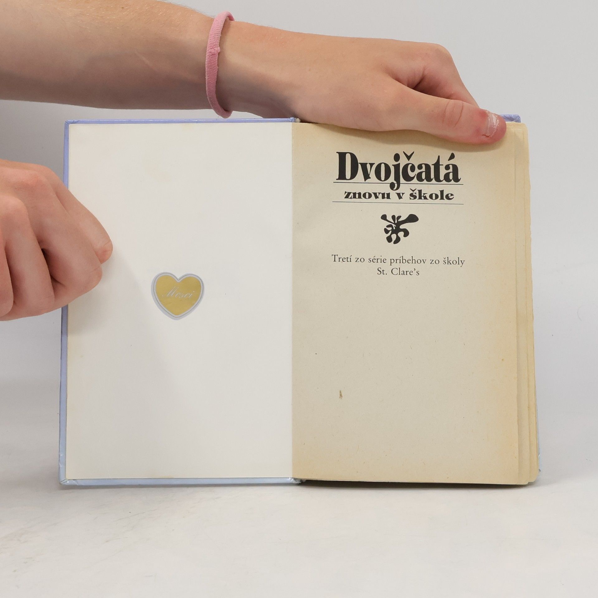 Enid Blyton Dvojčatá znovu v škole