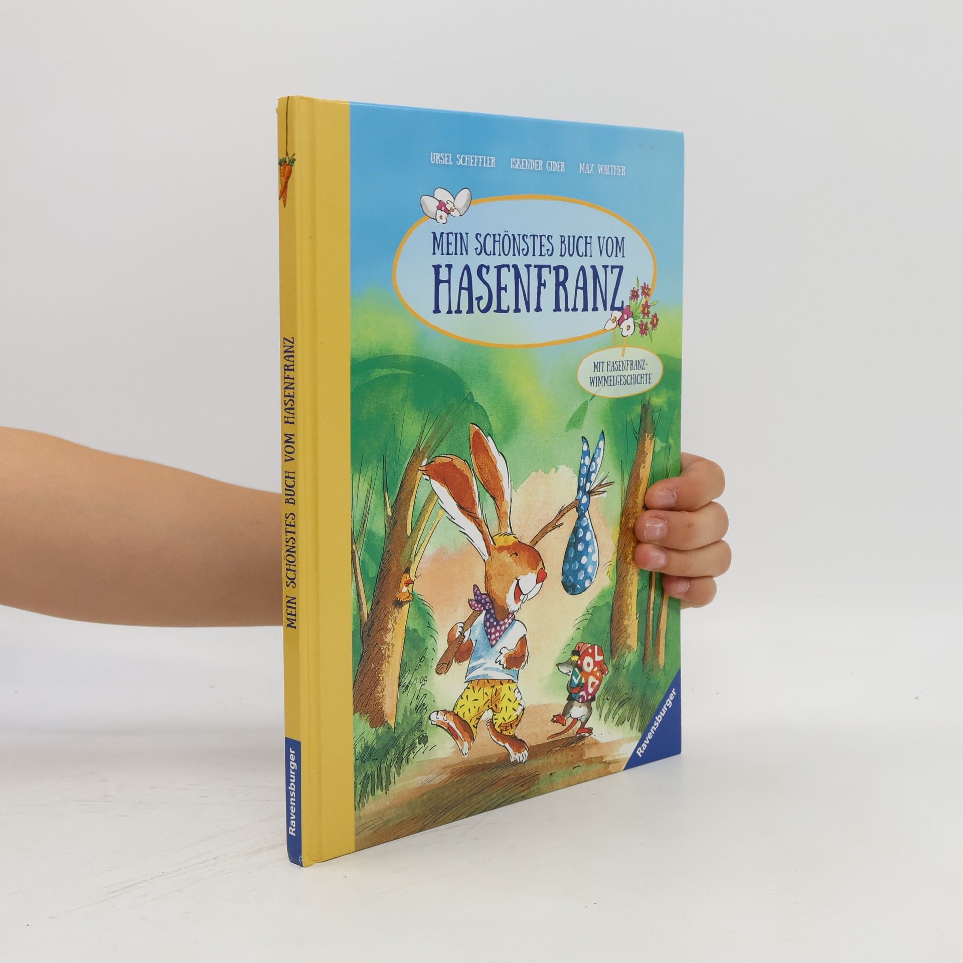 Kolektív autorov Mein schönstes Buch vom Hasenfranz