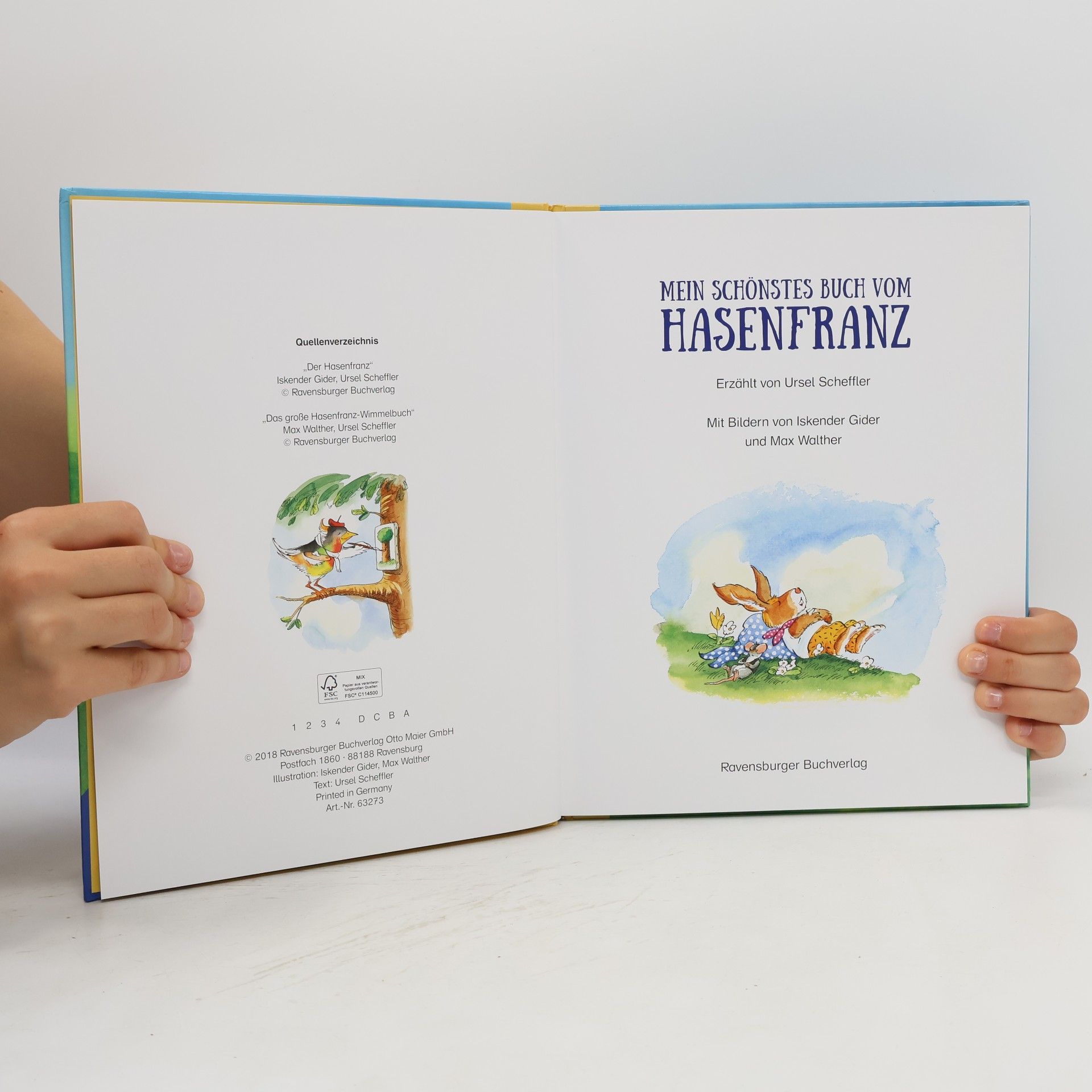 Kolektiv autorů Mein schönstes Buch vom Hasenfranz