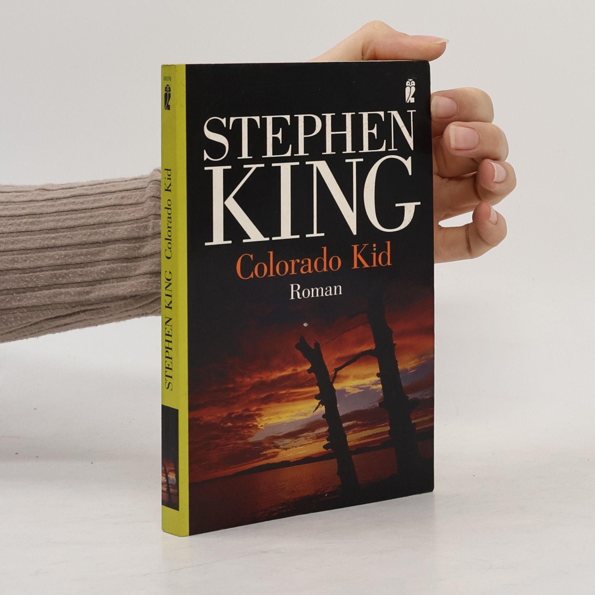 Stephen King Colorado Kid