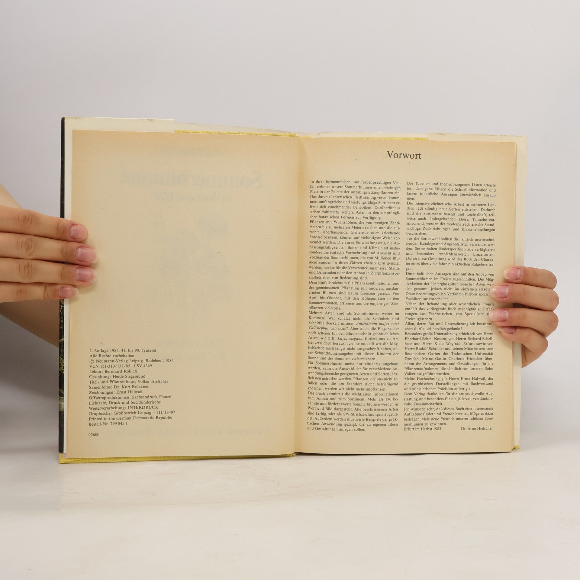 Arno Hielscher Sommerblumen in Wort und Bild