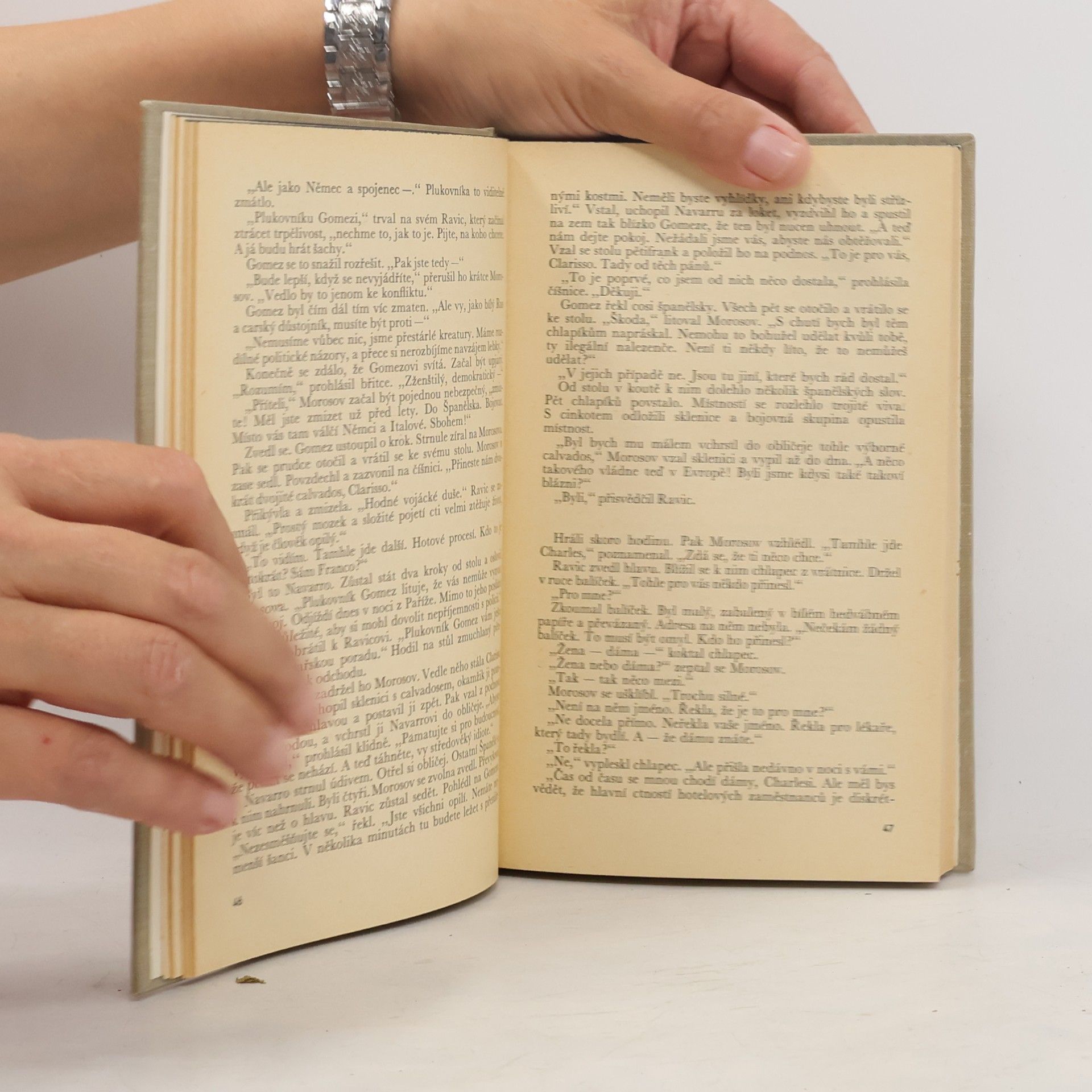 Erich Maria Remarque Vítězný oblouk