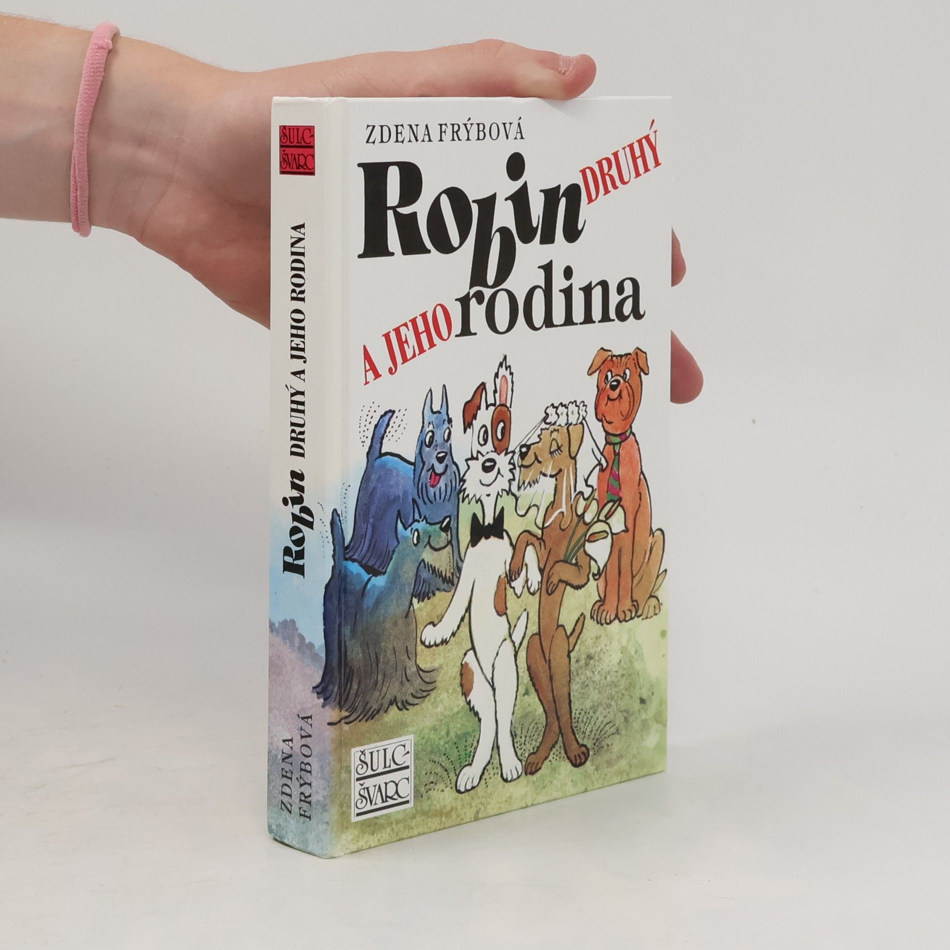Zdena Frýbová Robin Druhý a jeho rodina