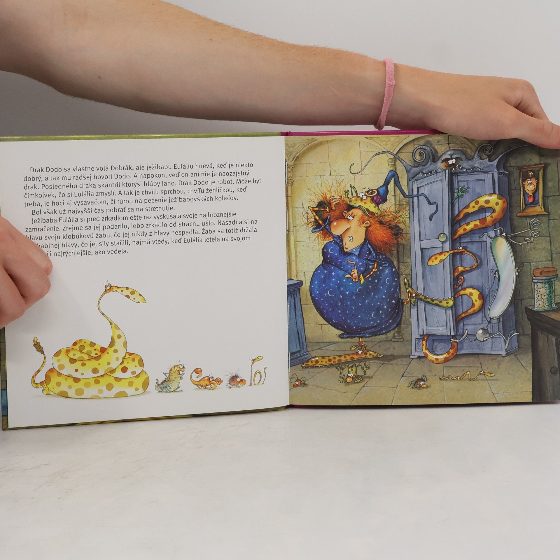 Autorenkollektiv Ježibaba Eulália a drak Dobrák