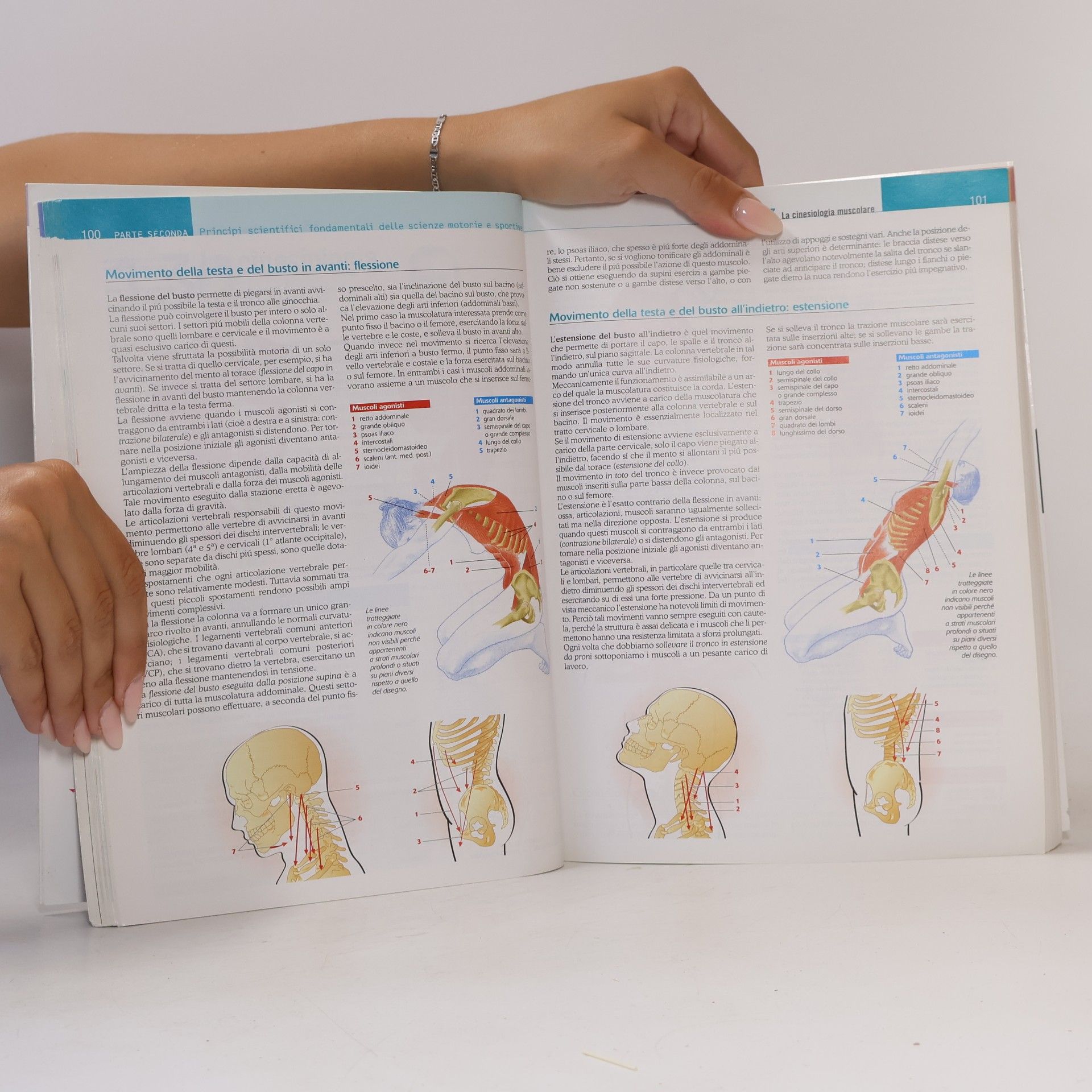 P. Luigi Del Nista In perfetto equilibrio. Pensiero e azione per un corpo intelligente. Con Elementi di educazione stradale. Per le Scuole superiori