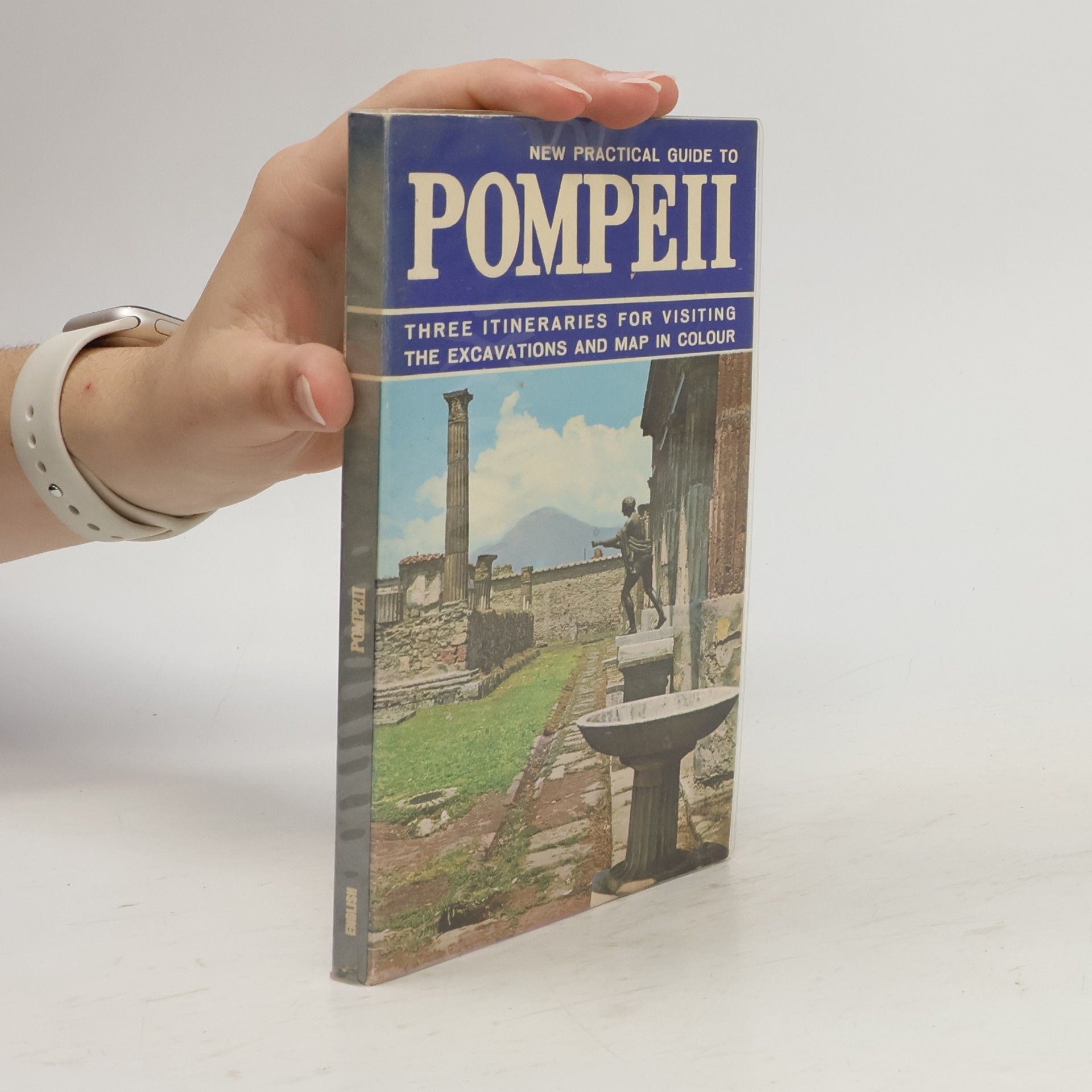 New Practical Guide to Pompeii