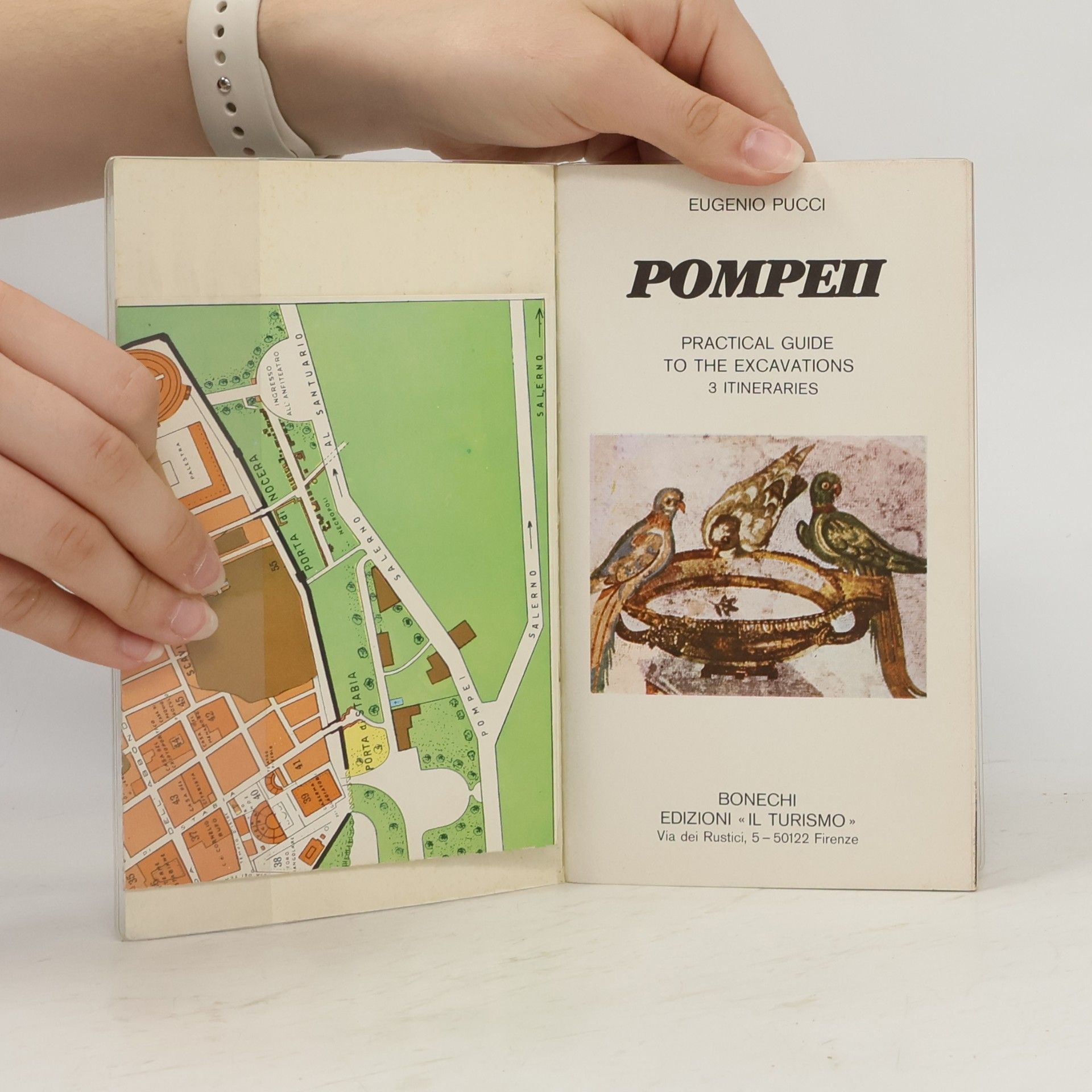 Eugenio Pucci New Practical Guide to Pompeii