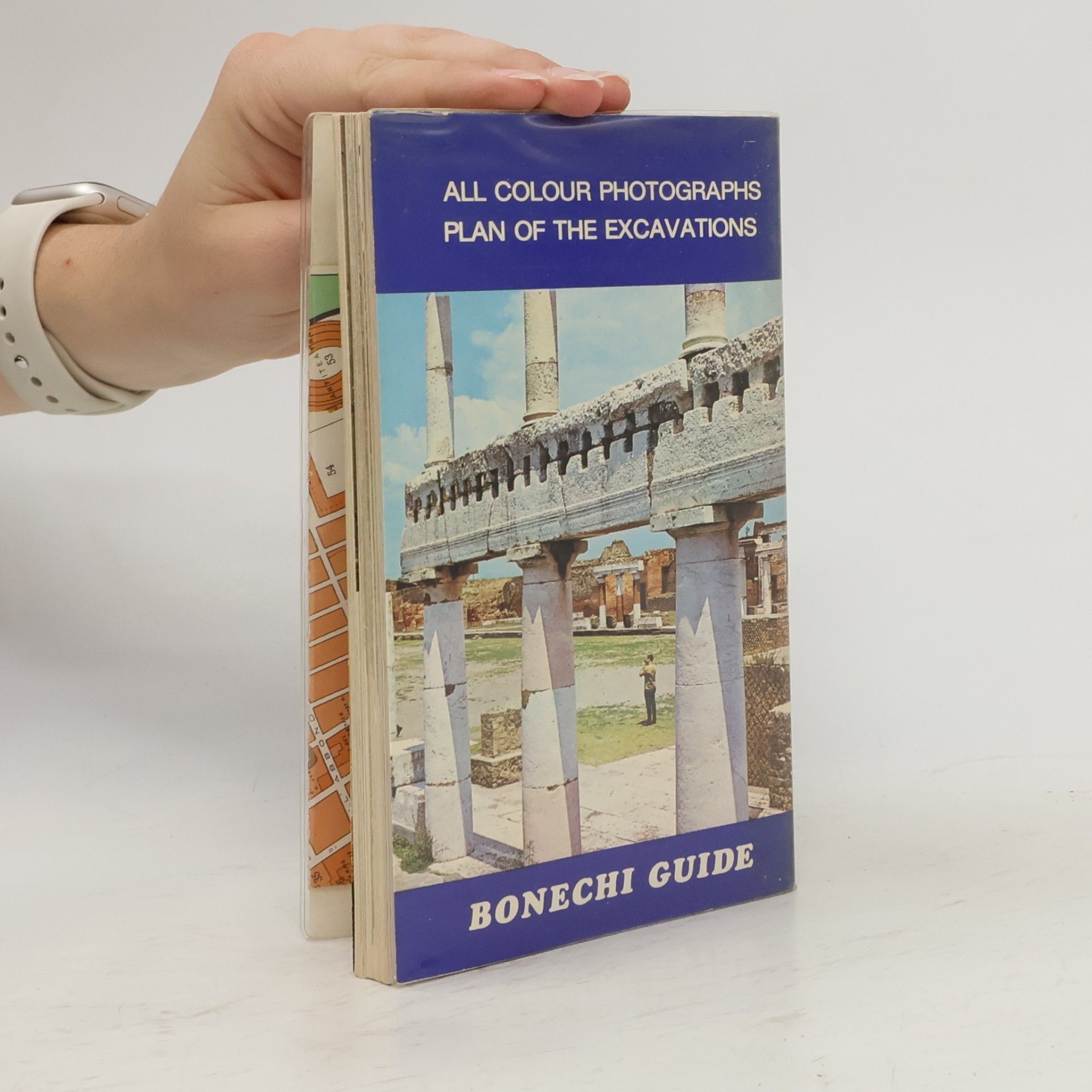 Eugenio Pucci New Practical Guide to Pompeii