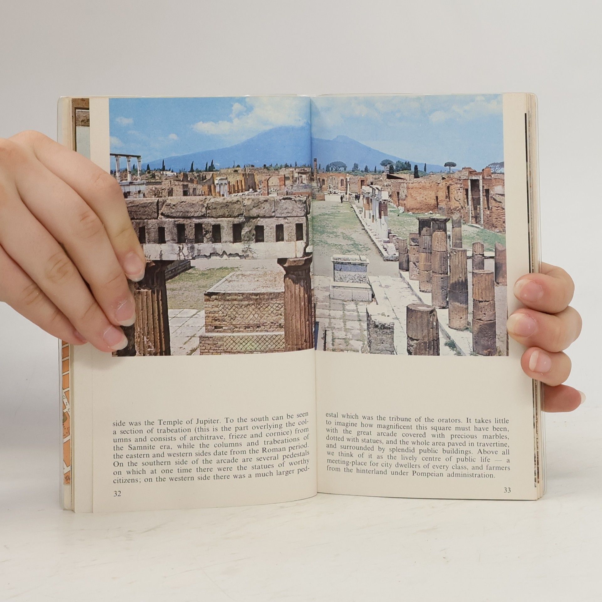 Eugenio Pucci New Practical Guide to Pompeii