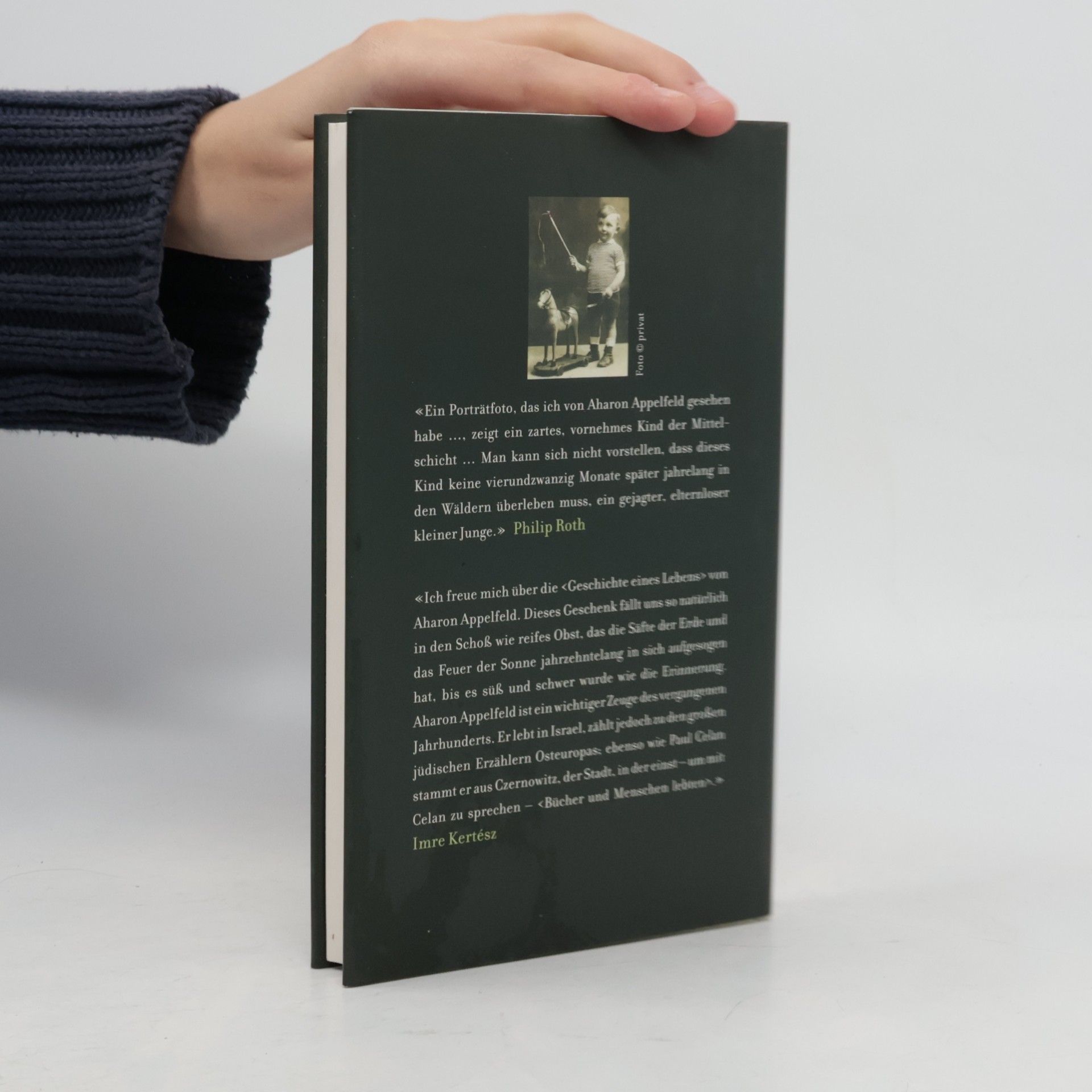Aharon Appelfeld Geschichte eines Lebens