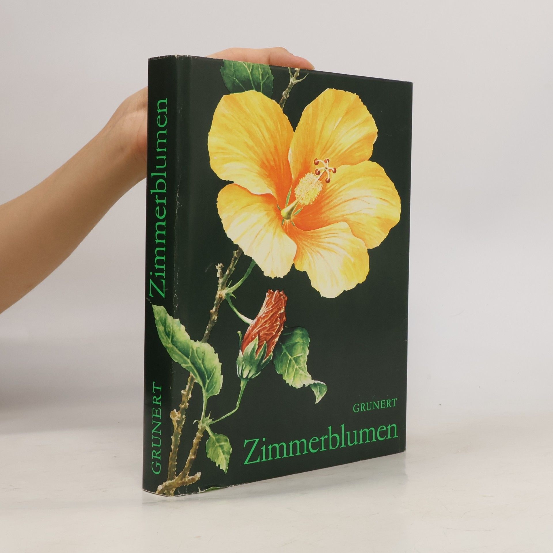 Christian Grunert Zimmerblumen