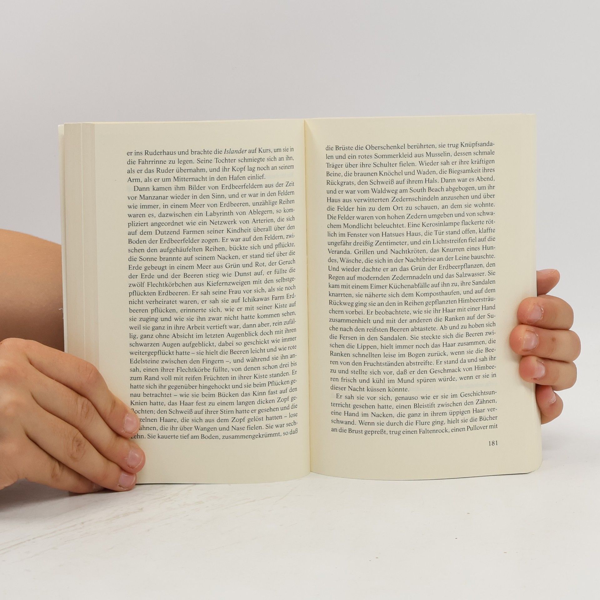 David Guterson Schnee, der auf Zedern fällt