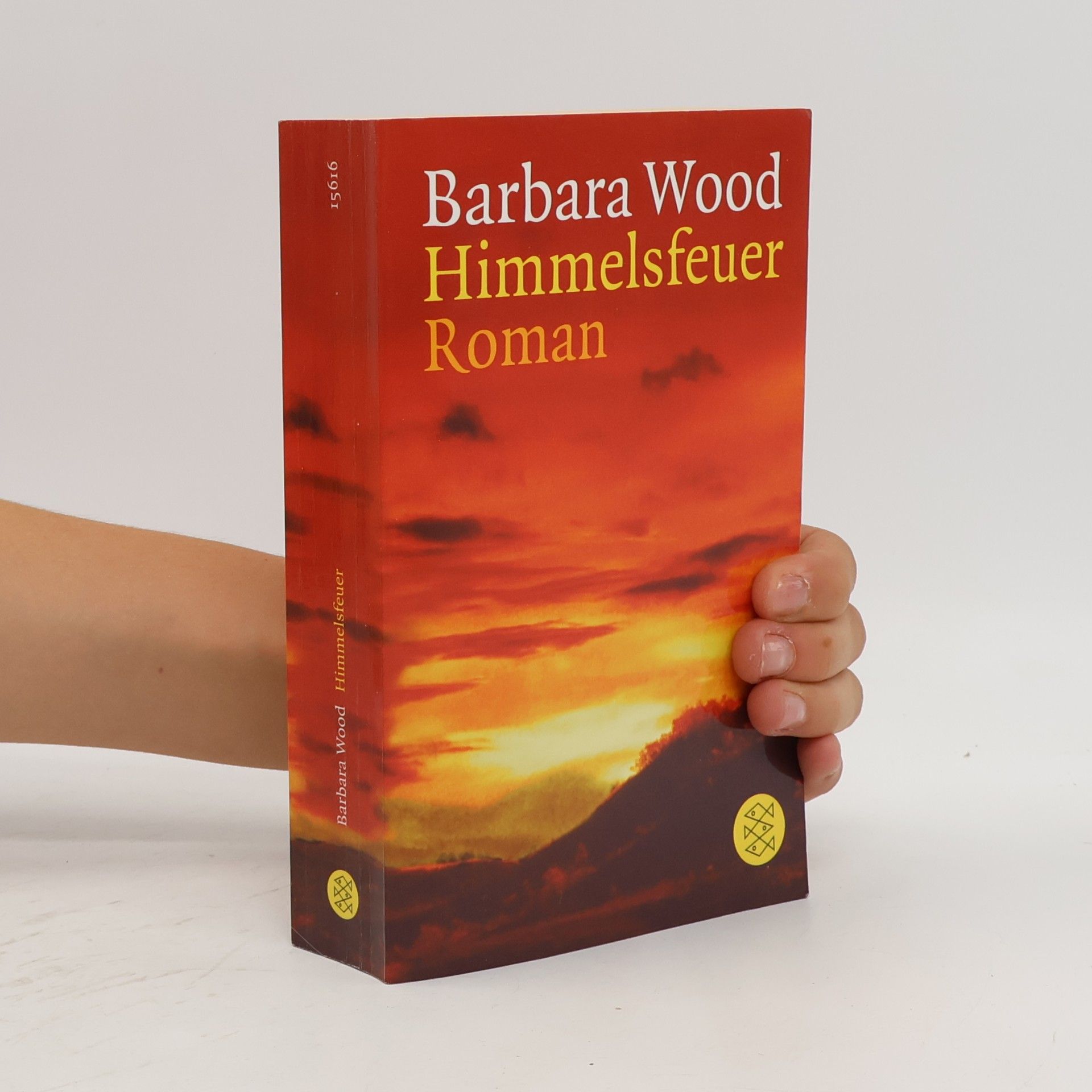 Barbara Wood Himmelsfeuer