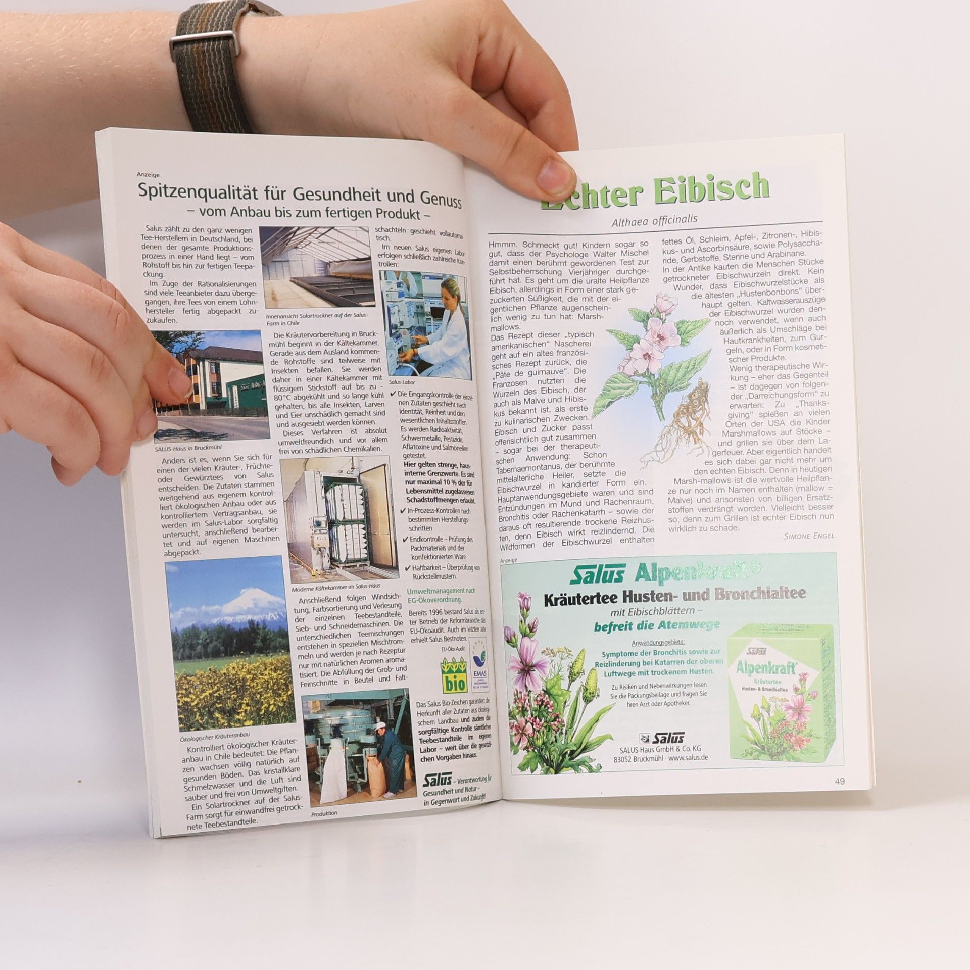kolektiv Der Kräuter-Ratgeber 2008 mit Preisrätsel