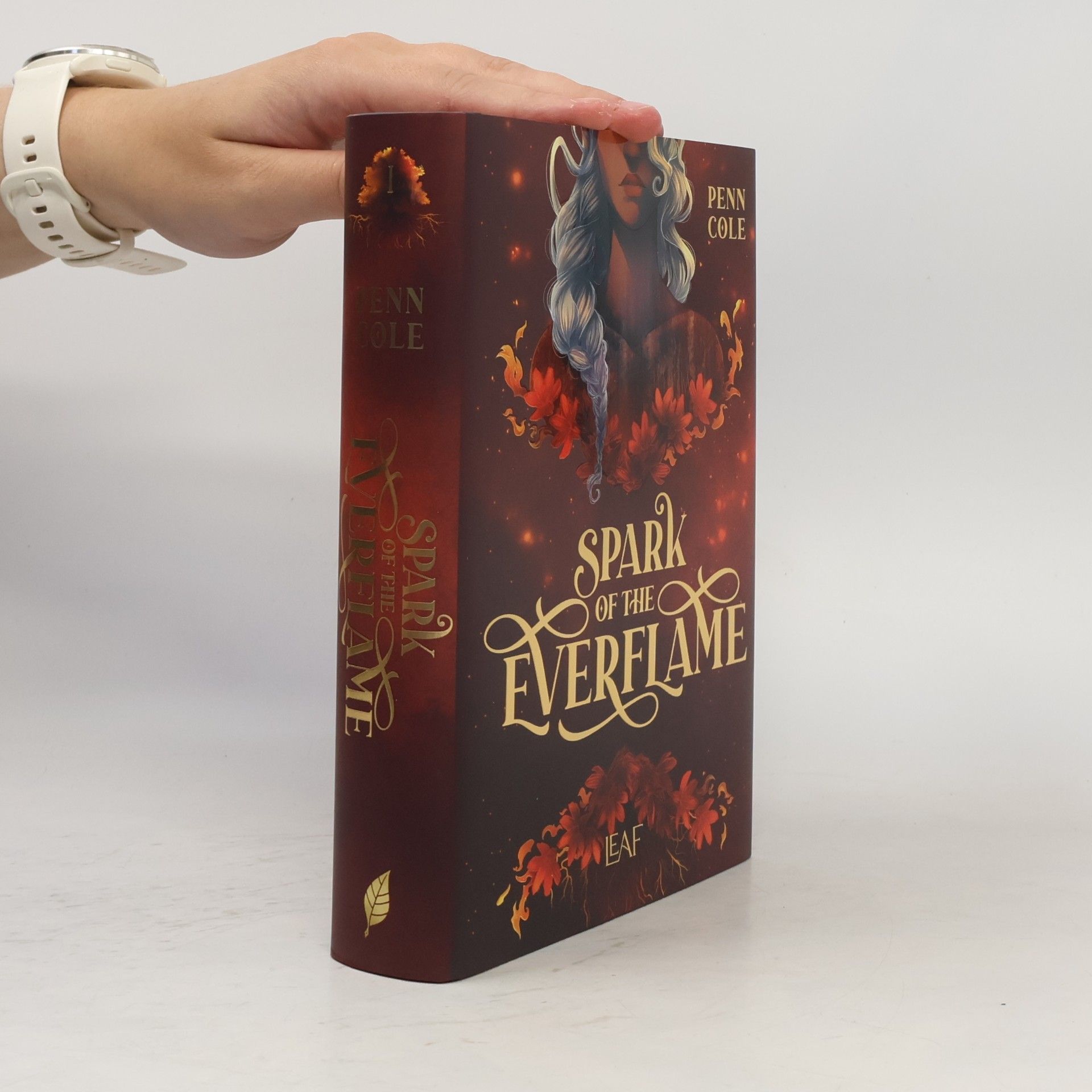 Penn Cole Spark of the Everflame / Kindred´s Curse Saga Bd.1