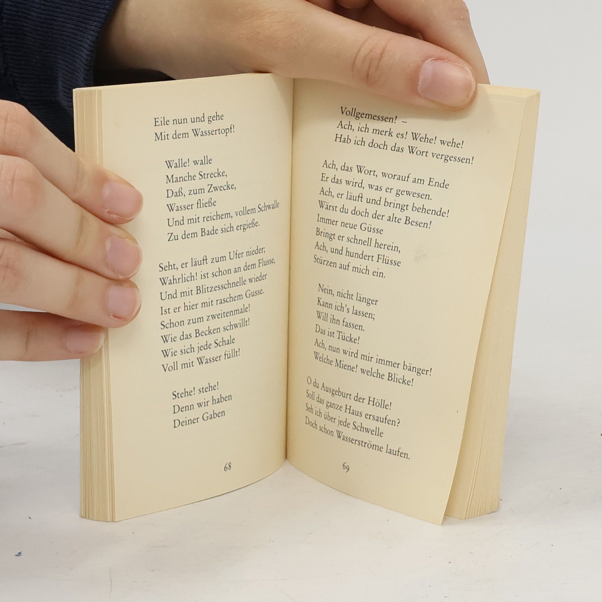 Johann Wolfgang von Goethe Die schönsten Gedichte von Goethe
