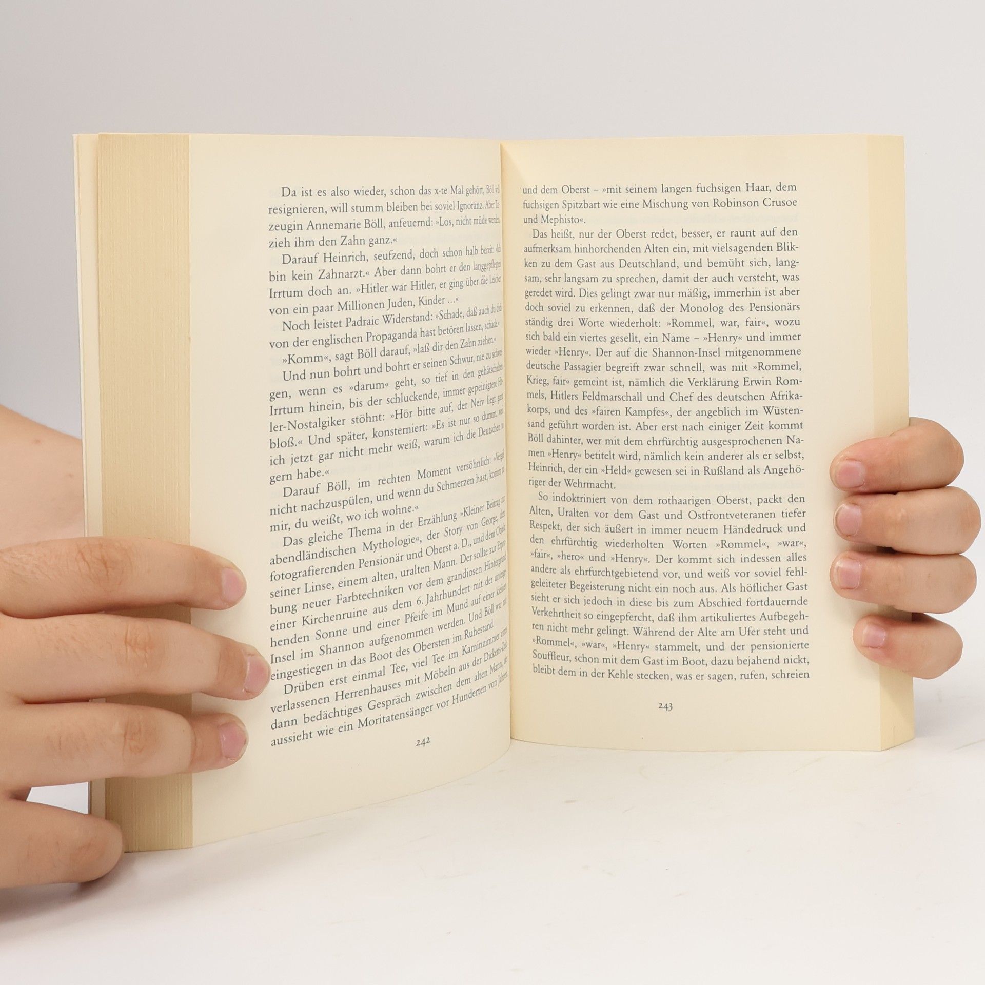 Ralph Giordano Mein irisches Tagebuch