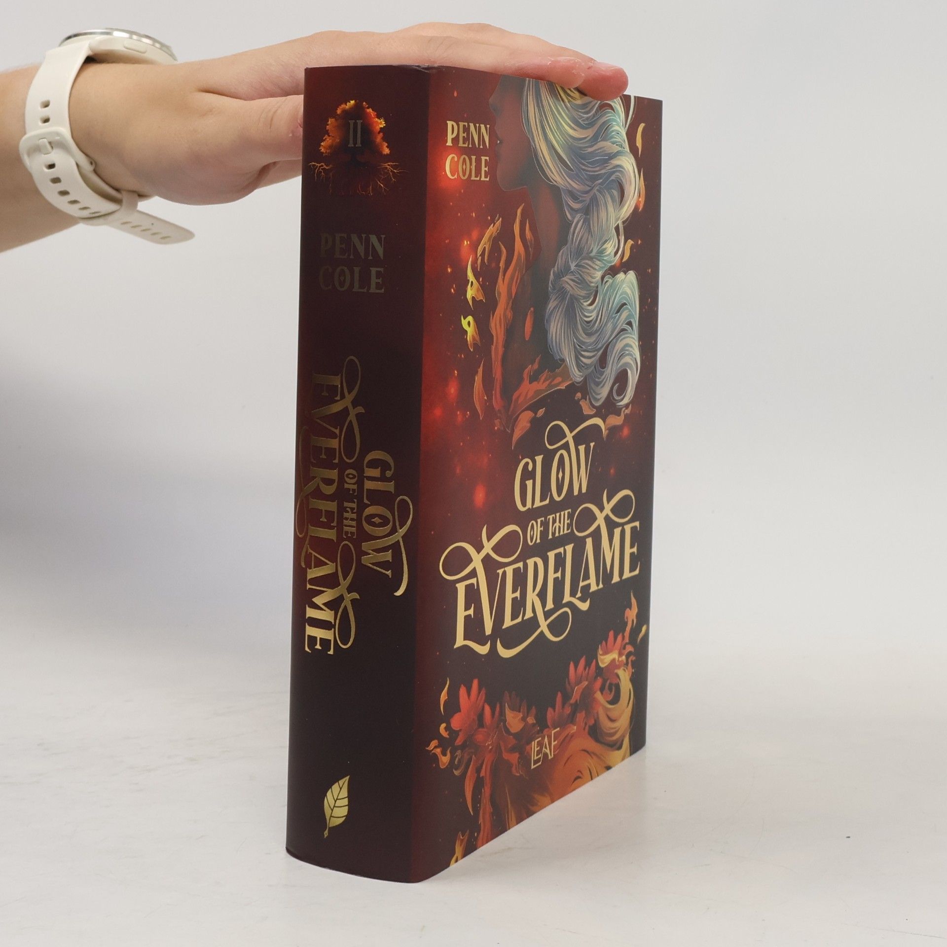 Penn Cole Glow of the Everflame / Kindred´s Curse Saga Bd.2
