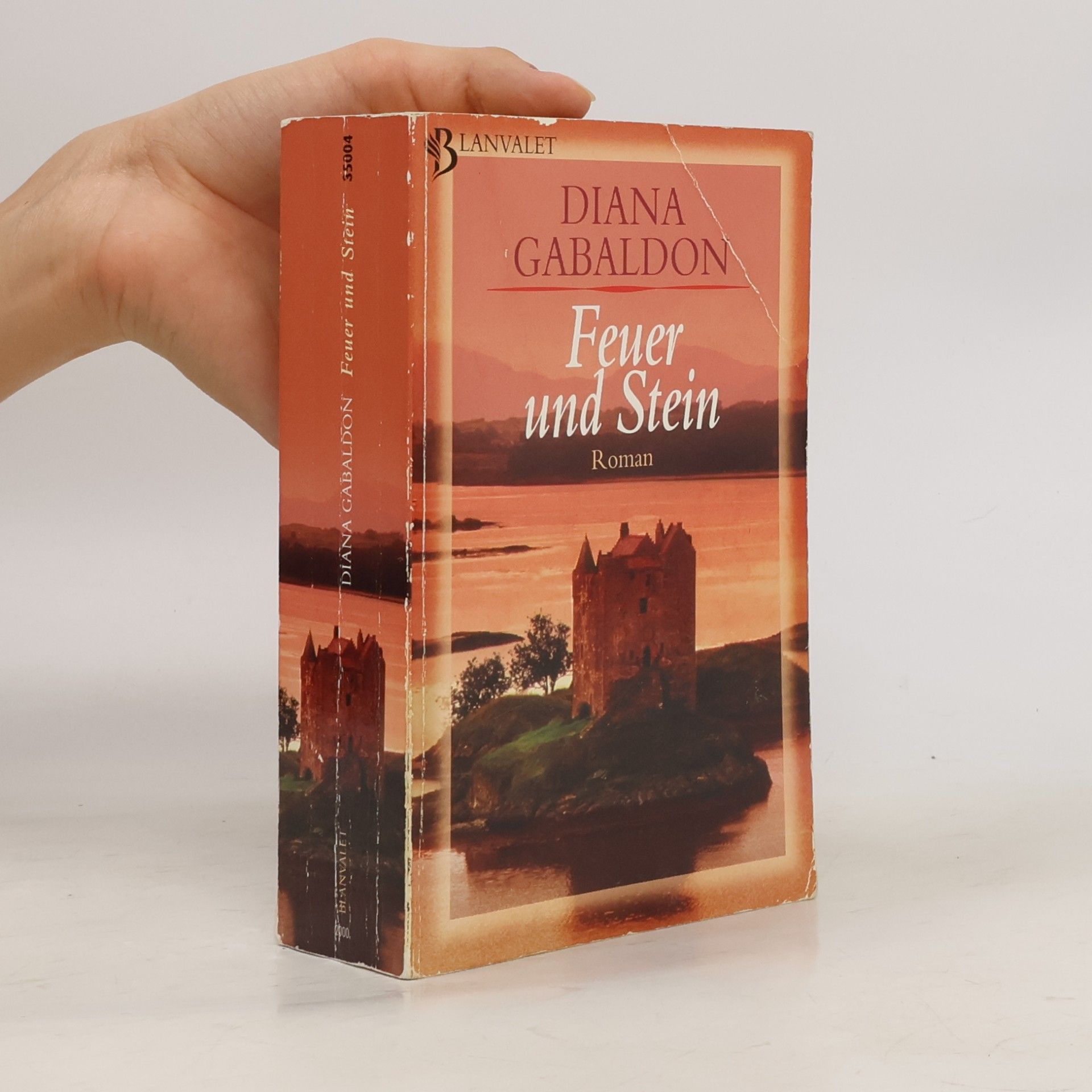 Diana Gabaldon Feuer und Stein