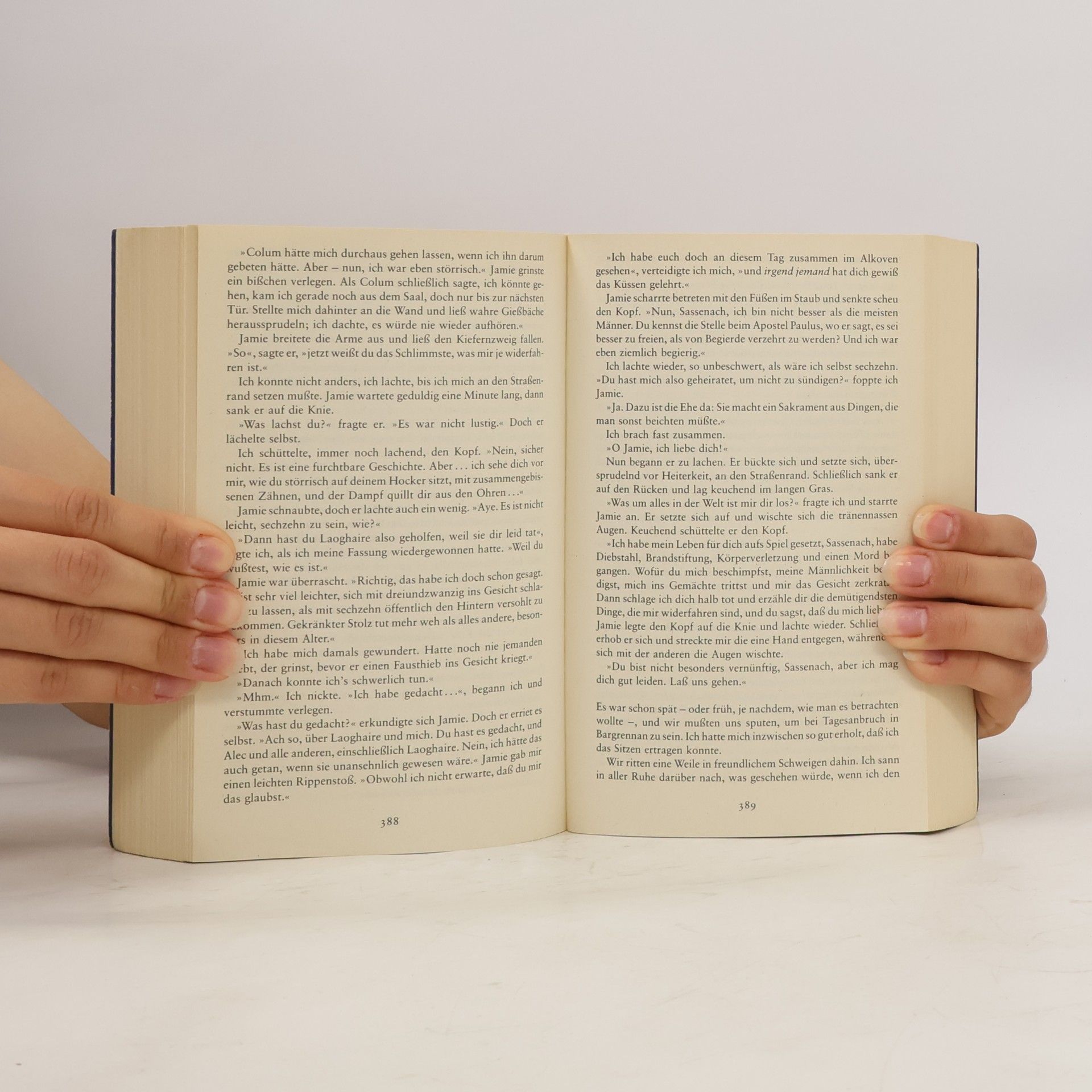 Diana Gabaldon Feuer und Stein