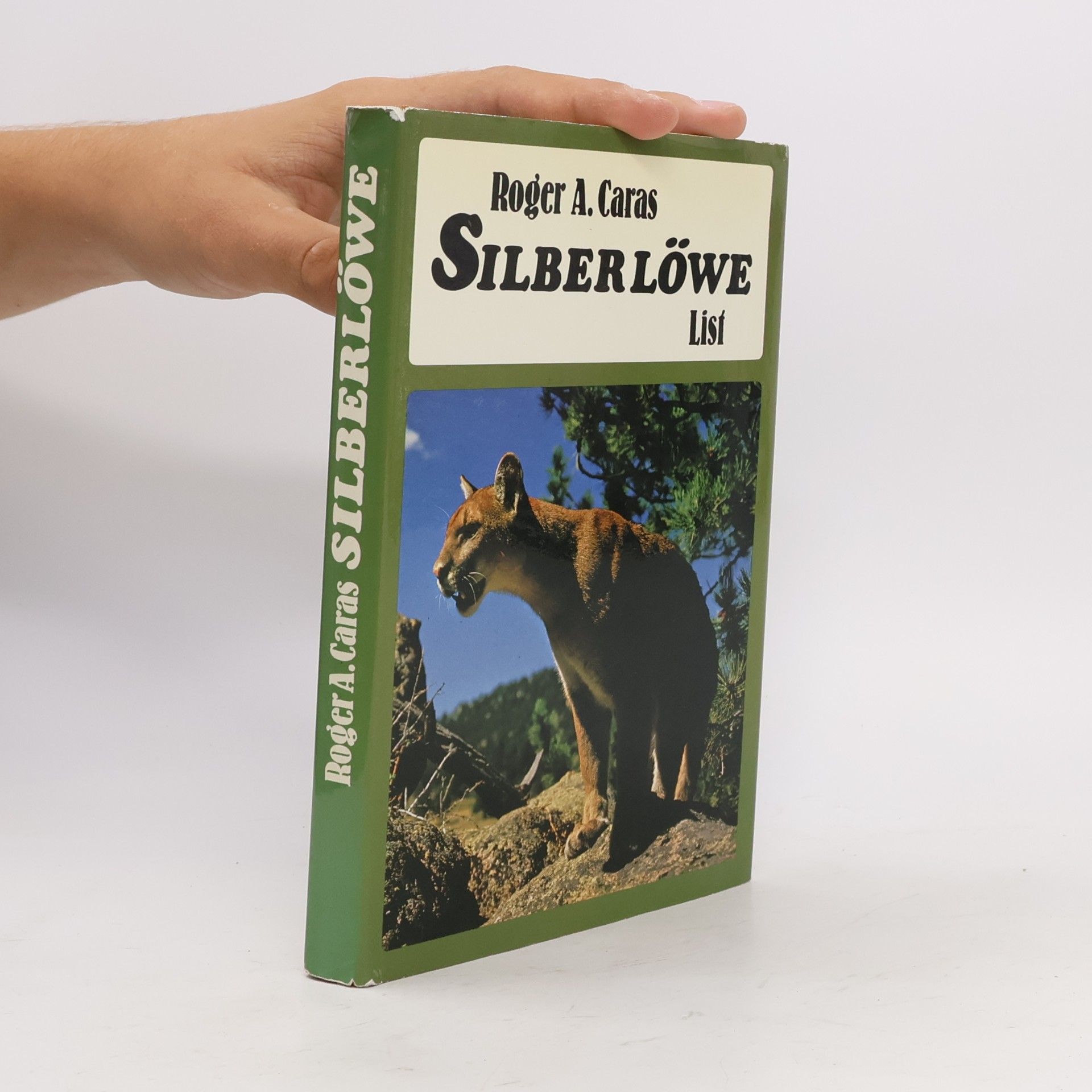 Silberlöwe