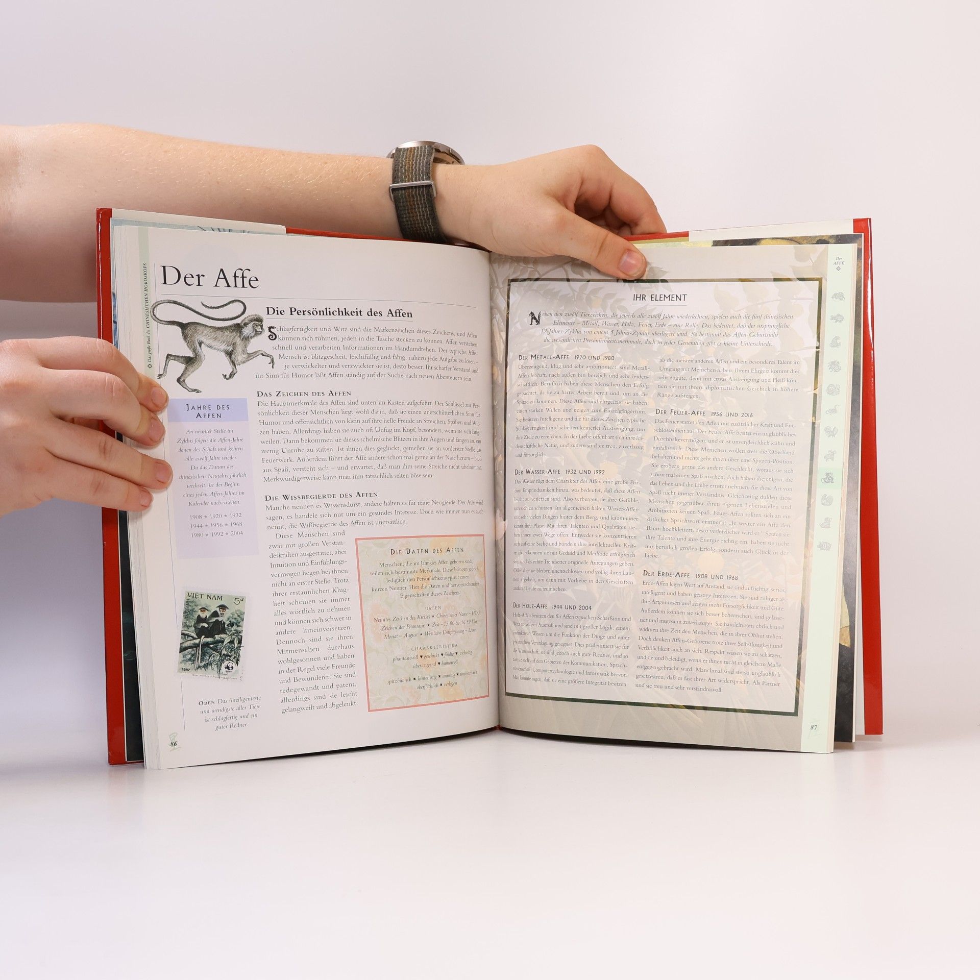 Lori Reid Das große Buch des chinesischen Horoskops