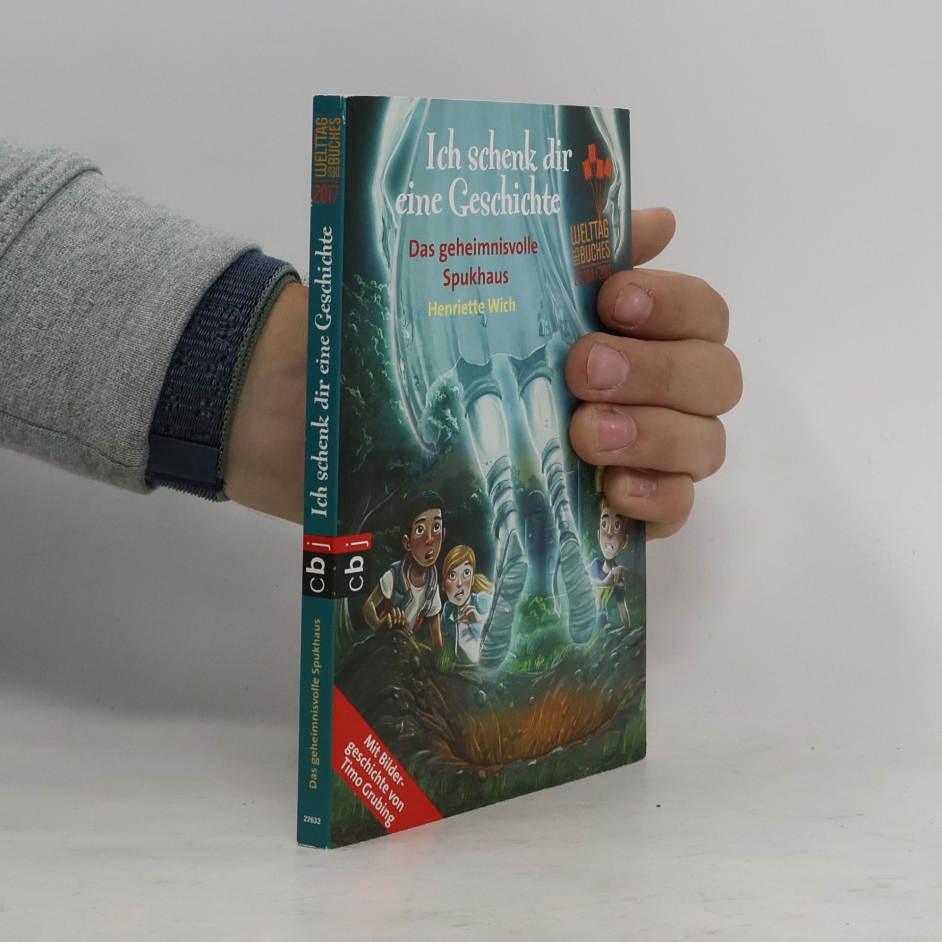Henriette Wich Das geheimnisvolle Spukhaus