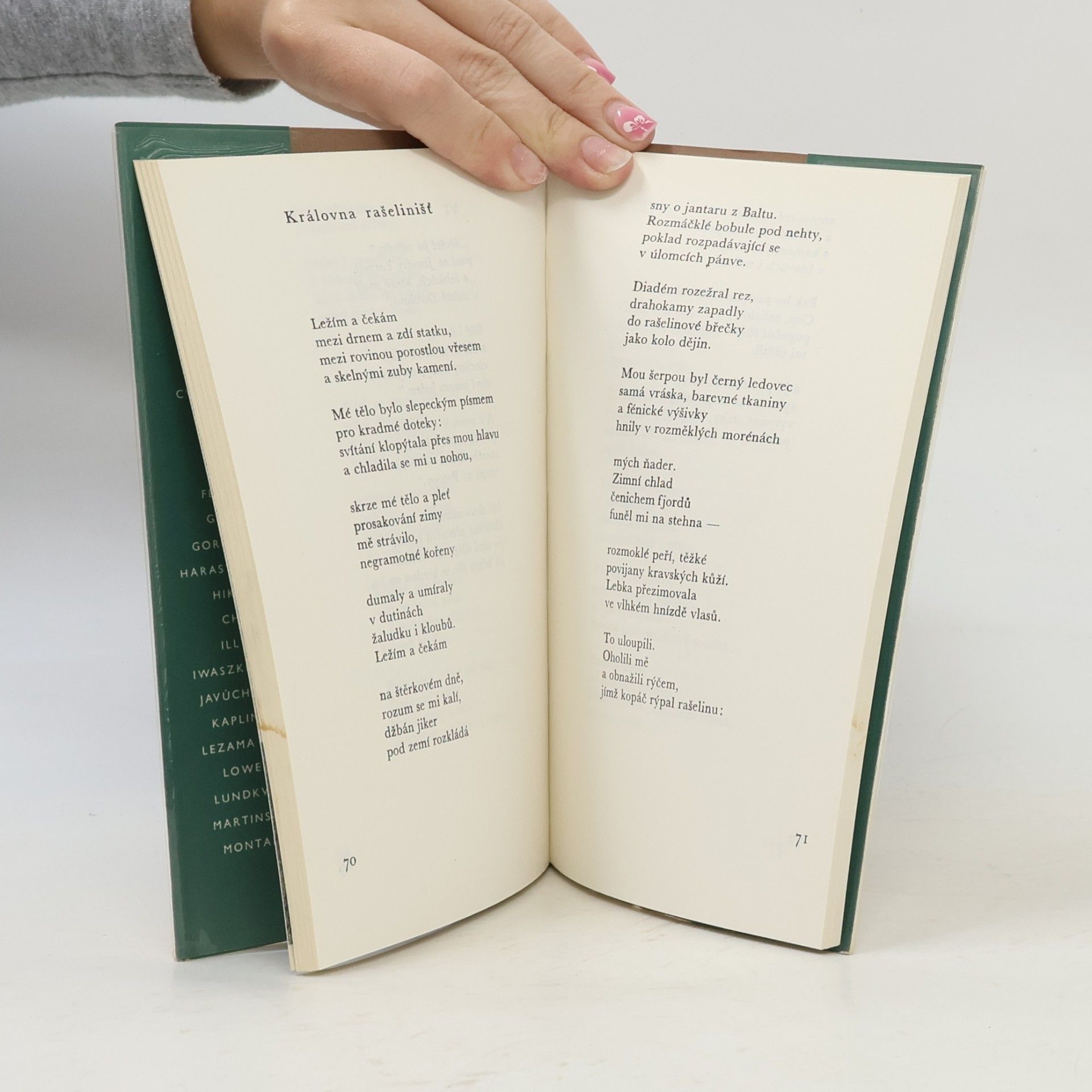 Seamus Heaney Přezimování pod širým nebem