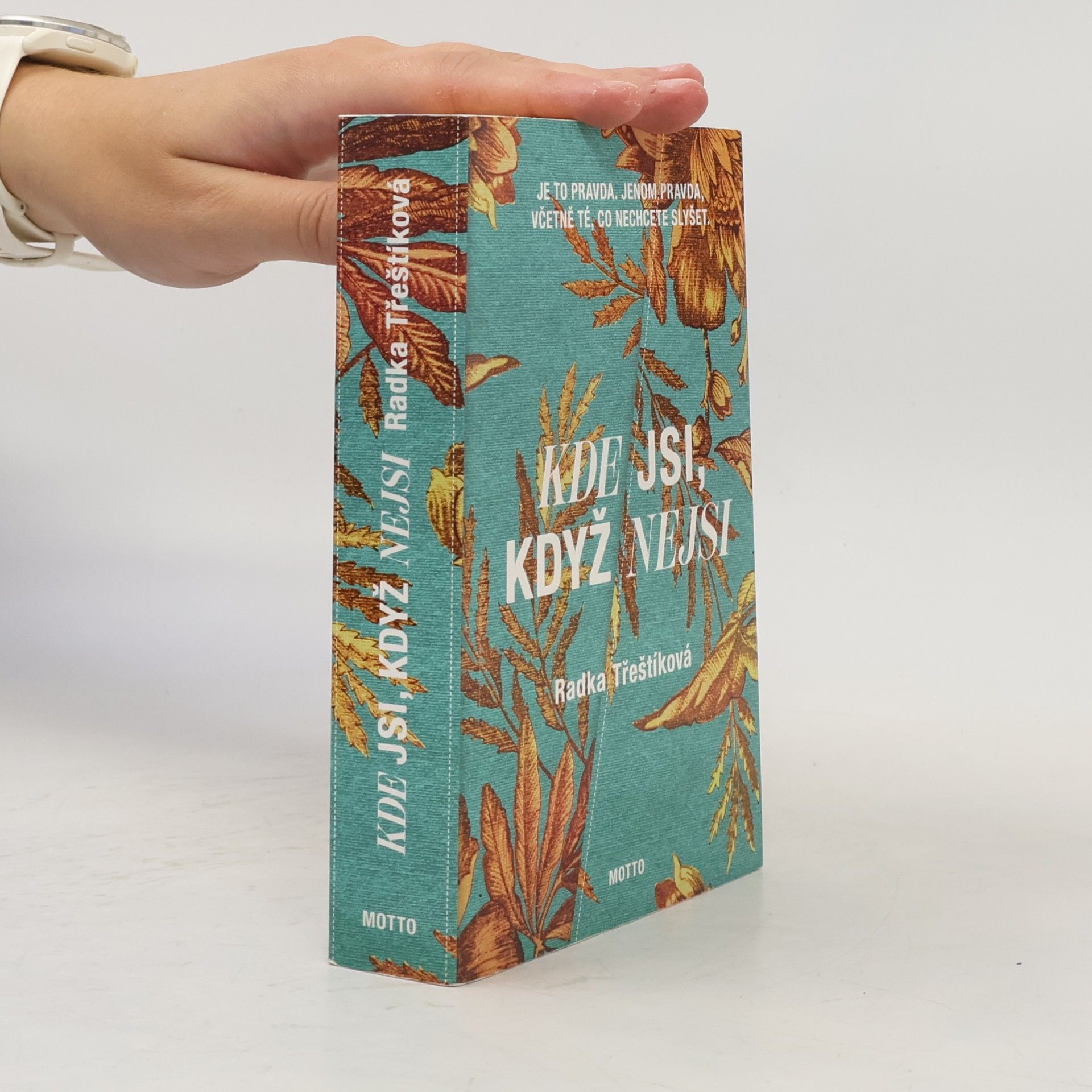 Radka Třeštíková Kde jsi, když nejsi