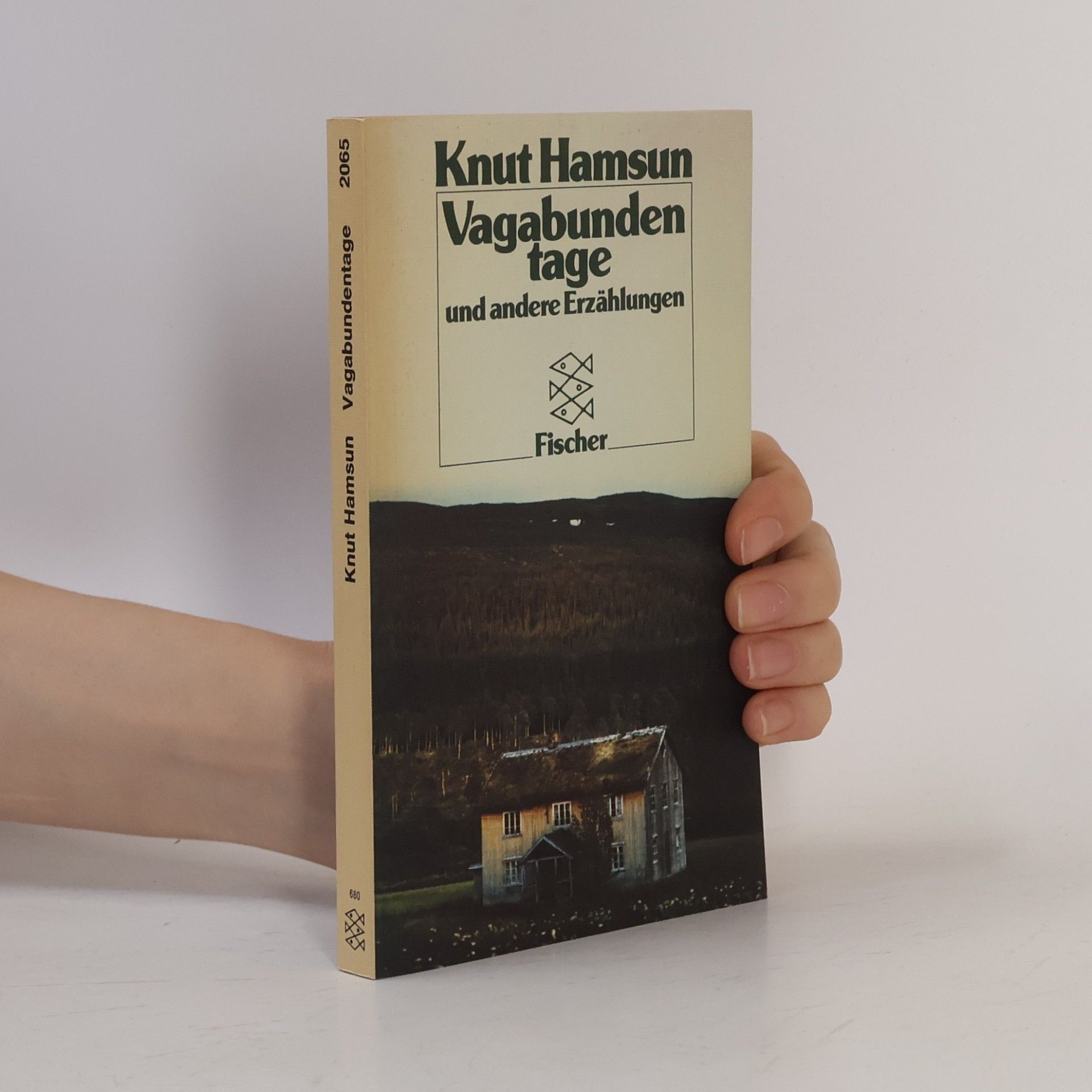 Knut Hamsun Vagabundentage und andere Erzählungen