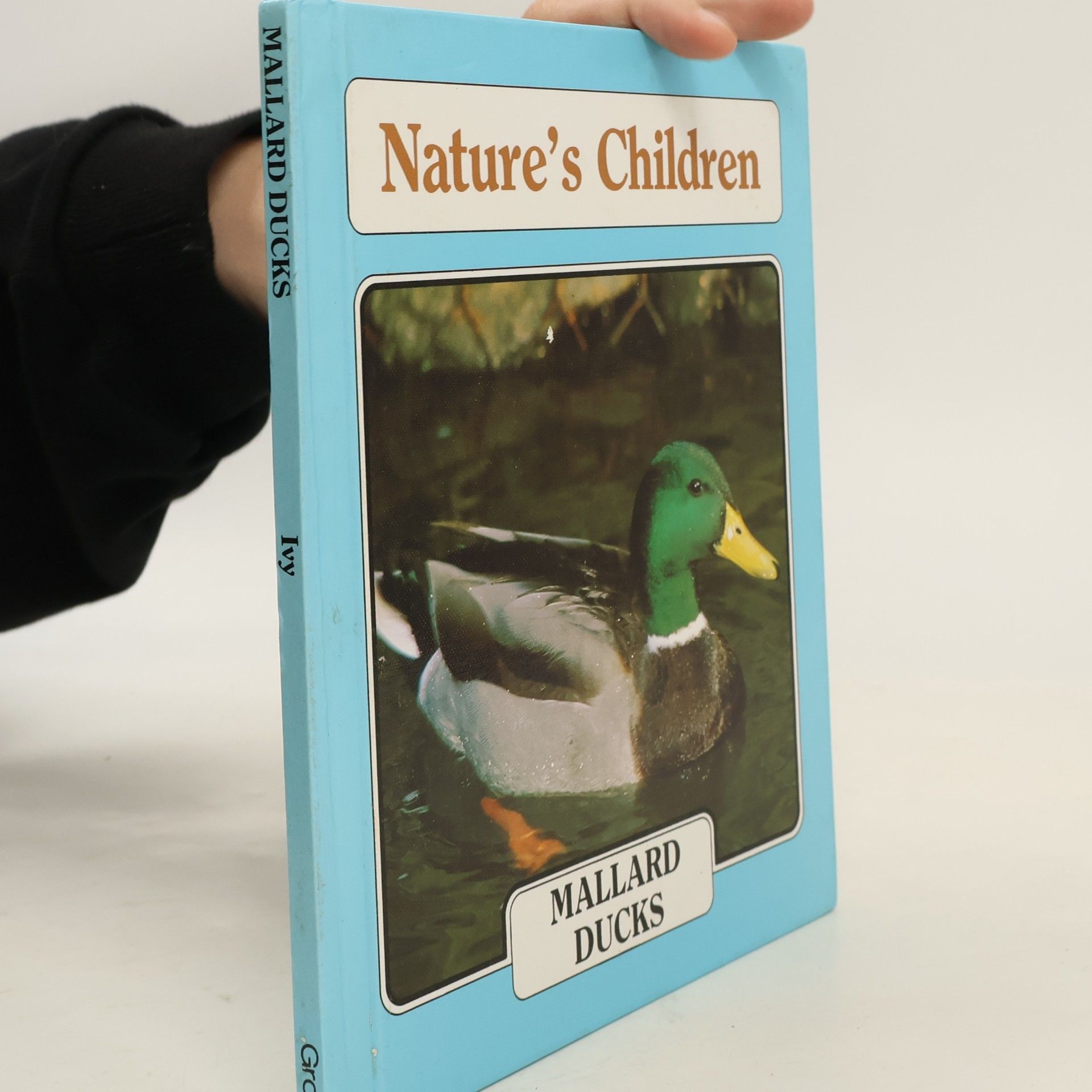 Bill Ivy Nature's Children: Mallard Ducks