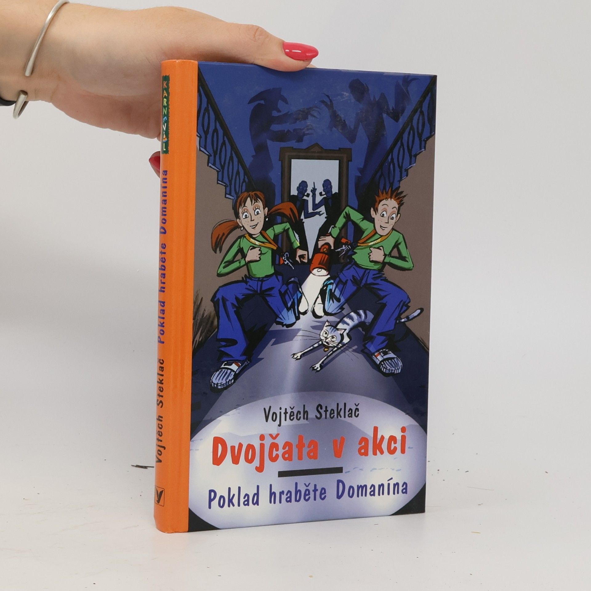 Vojtěch Steklač Dvojčata v akci. Poklad hraběte Domanína