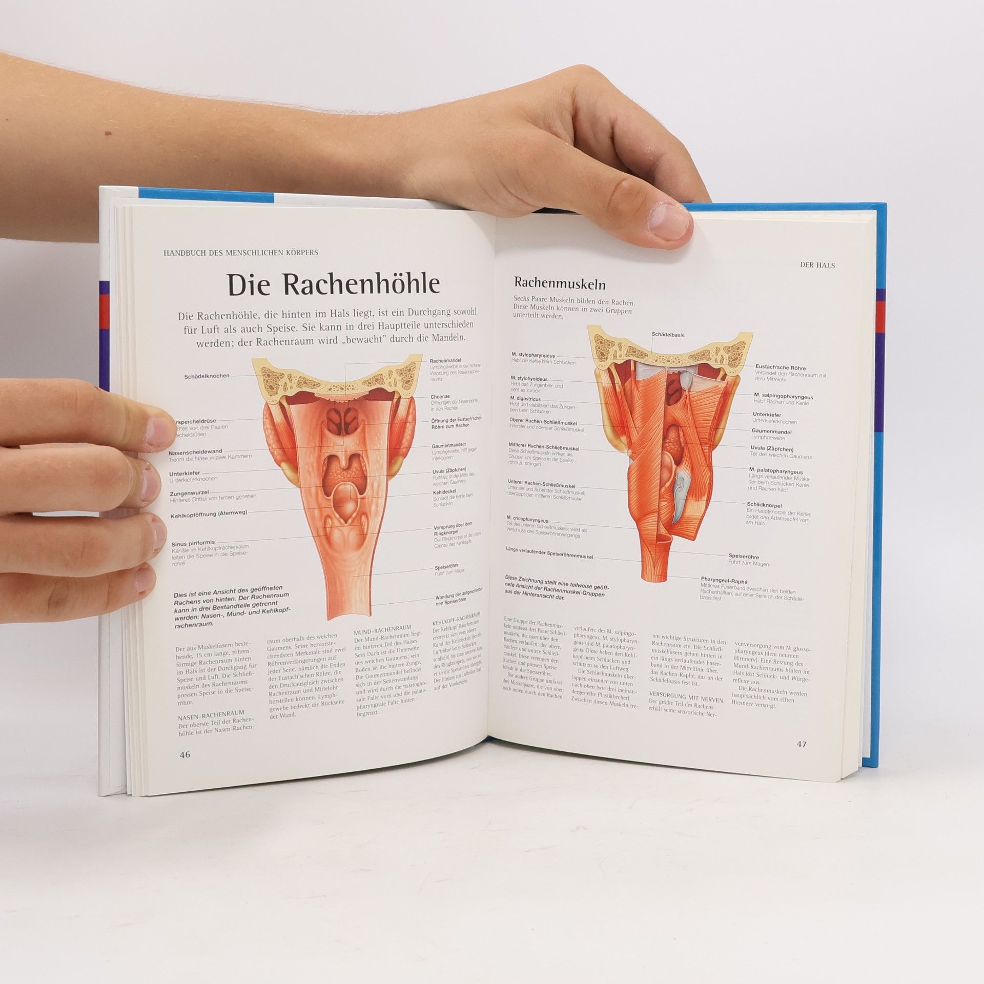 Peter Abrahams Handbuch des Menschlichen Körpers