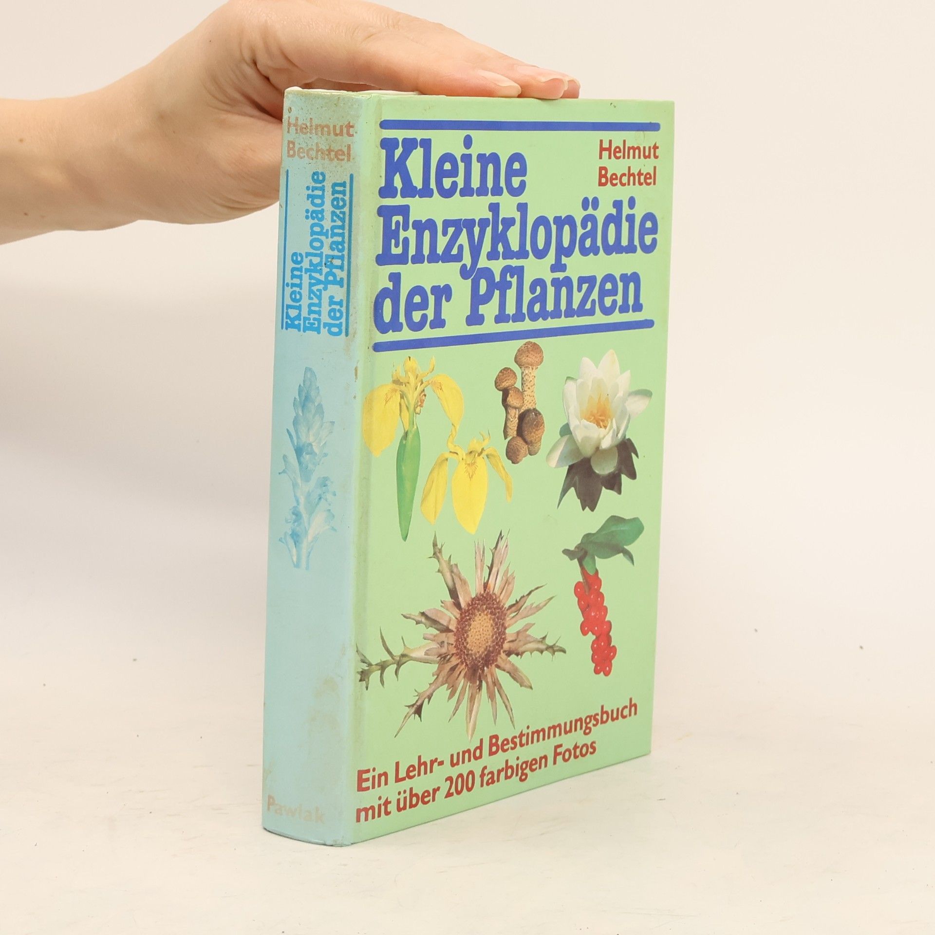 Kleine Enzyklopädie der Pflanzen