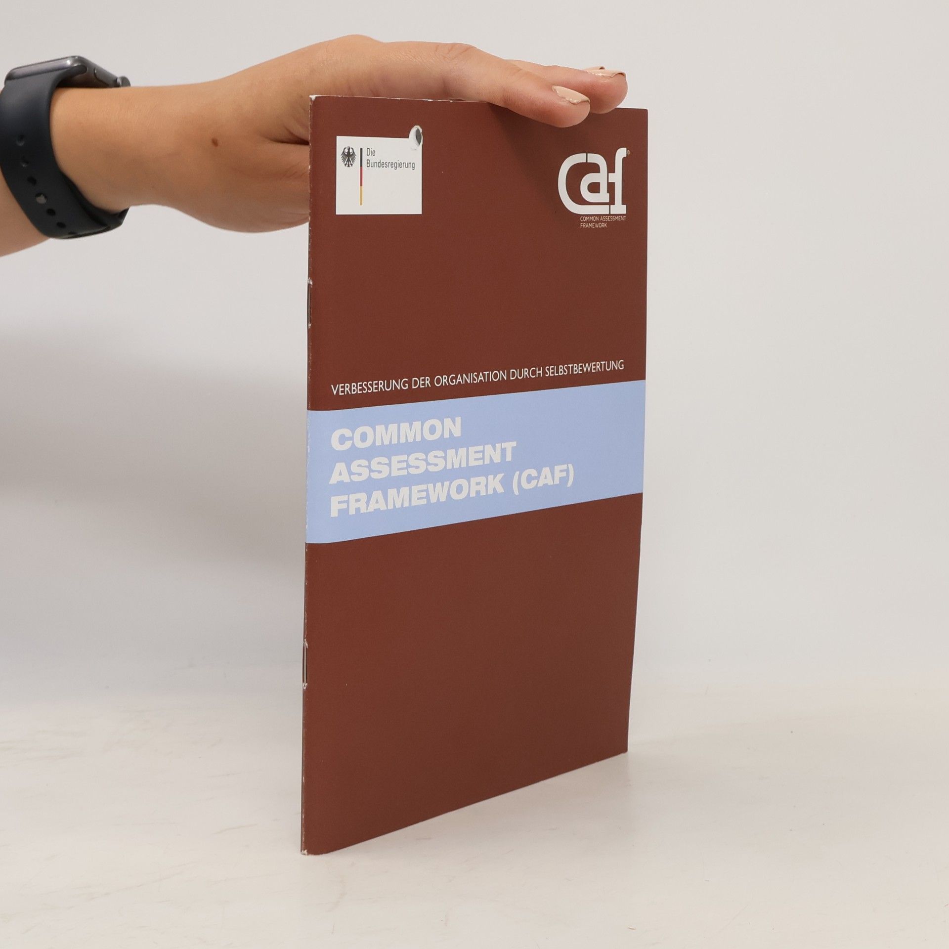 Autorenkollektiv Common Assessment Framework (CAF)
