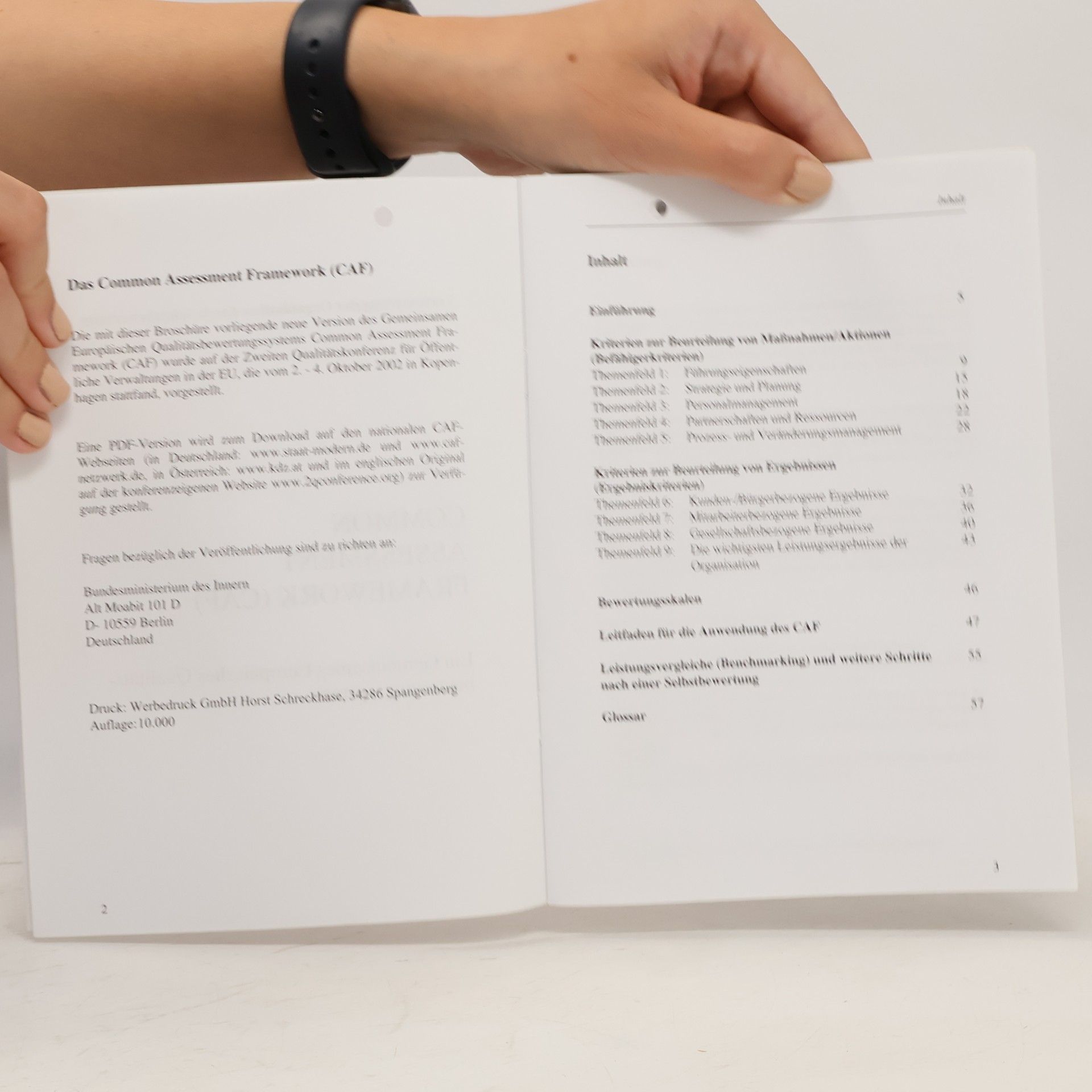 Autorenkollektiv Common Assessment Framework (CAF)