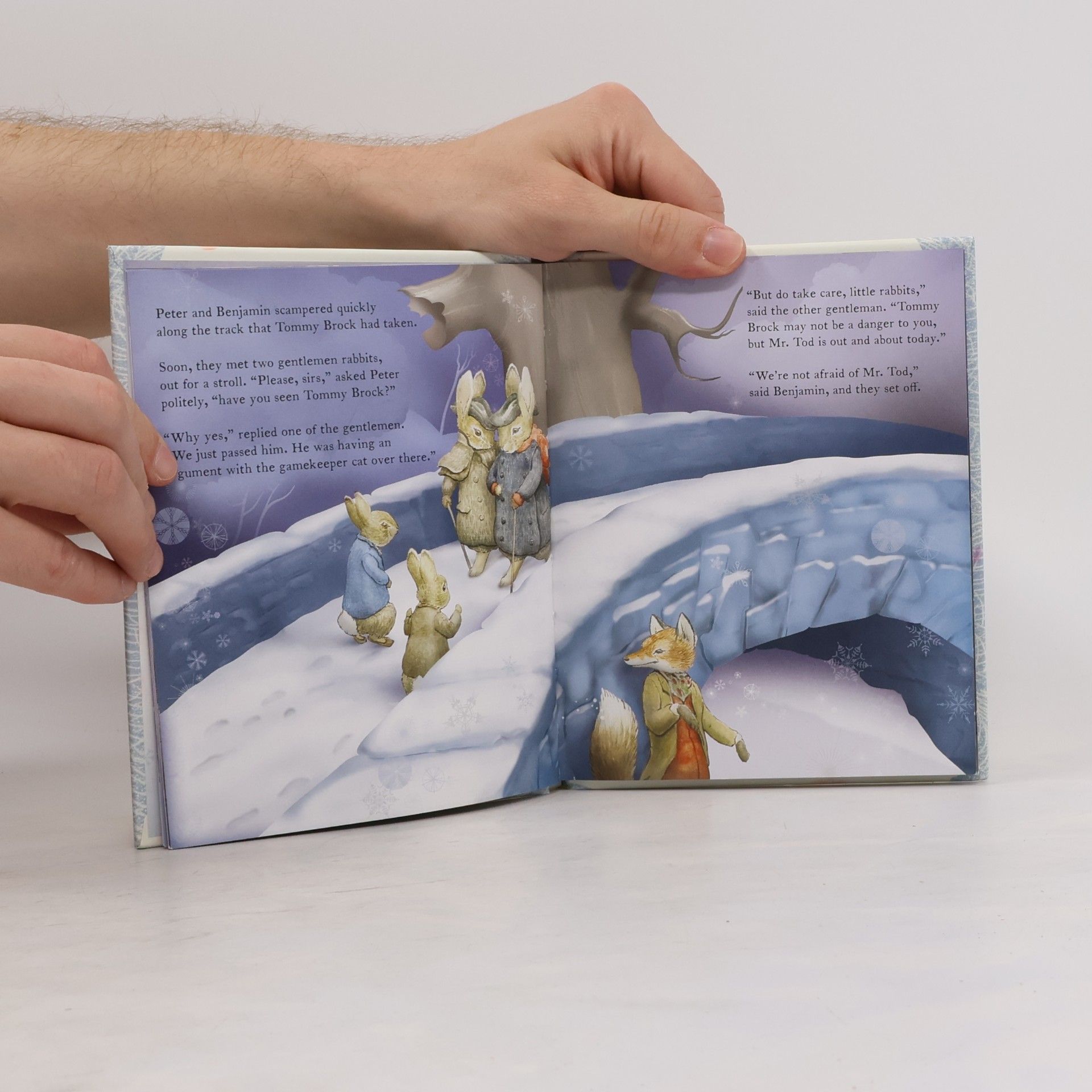 Beatrix Potter A Winter's Tale