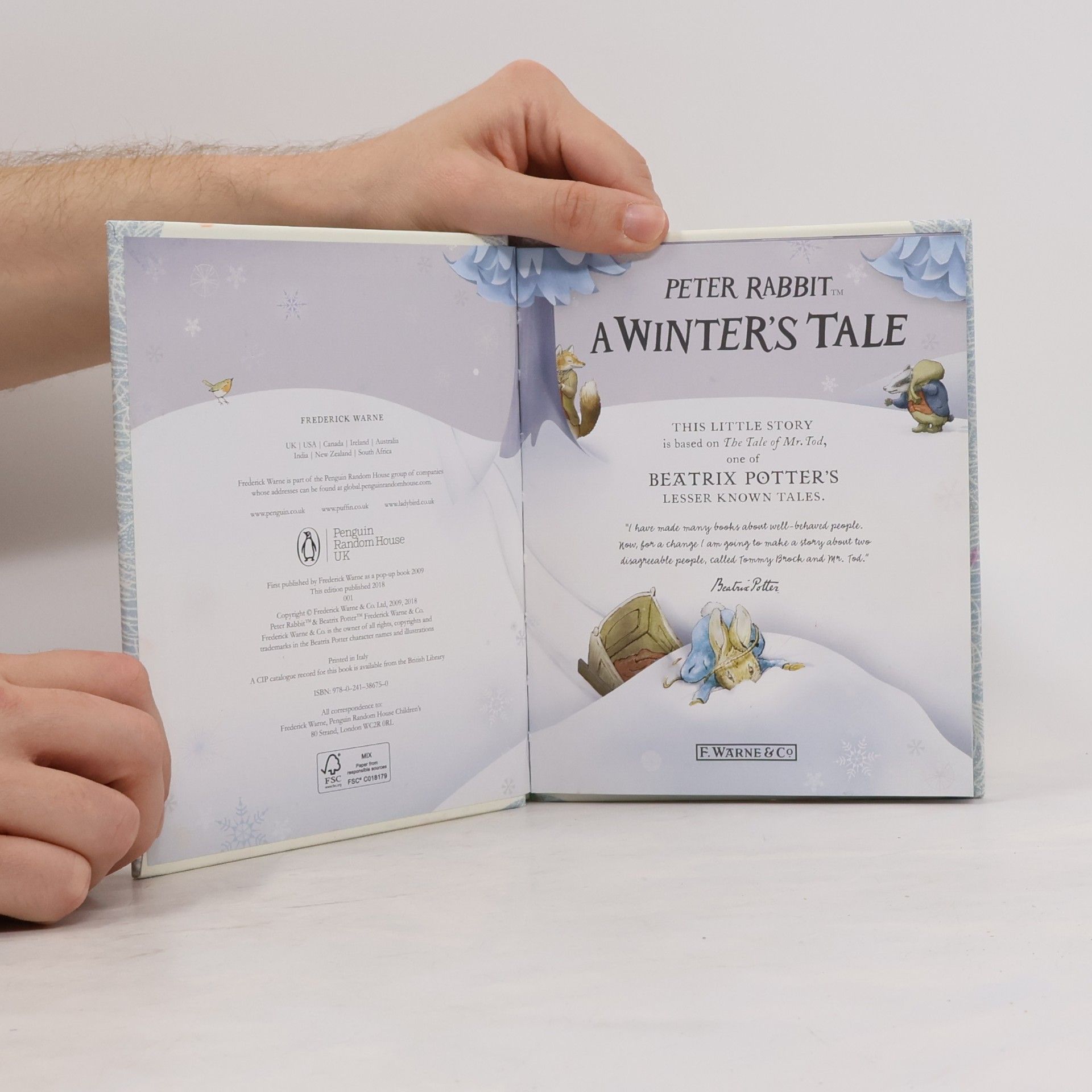 Beatrix Potter A Winter's Tale