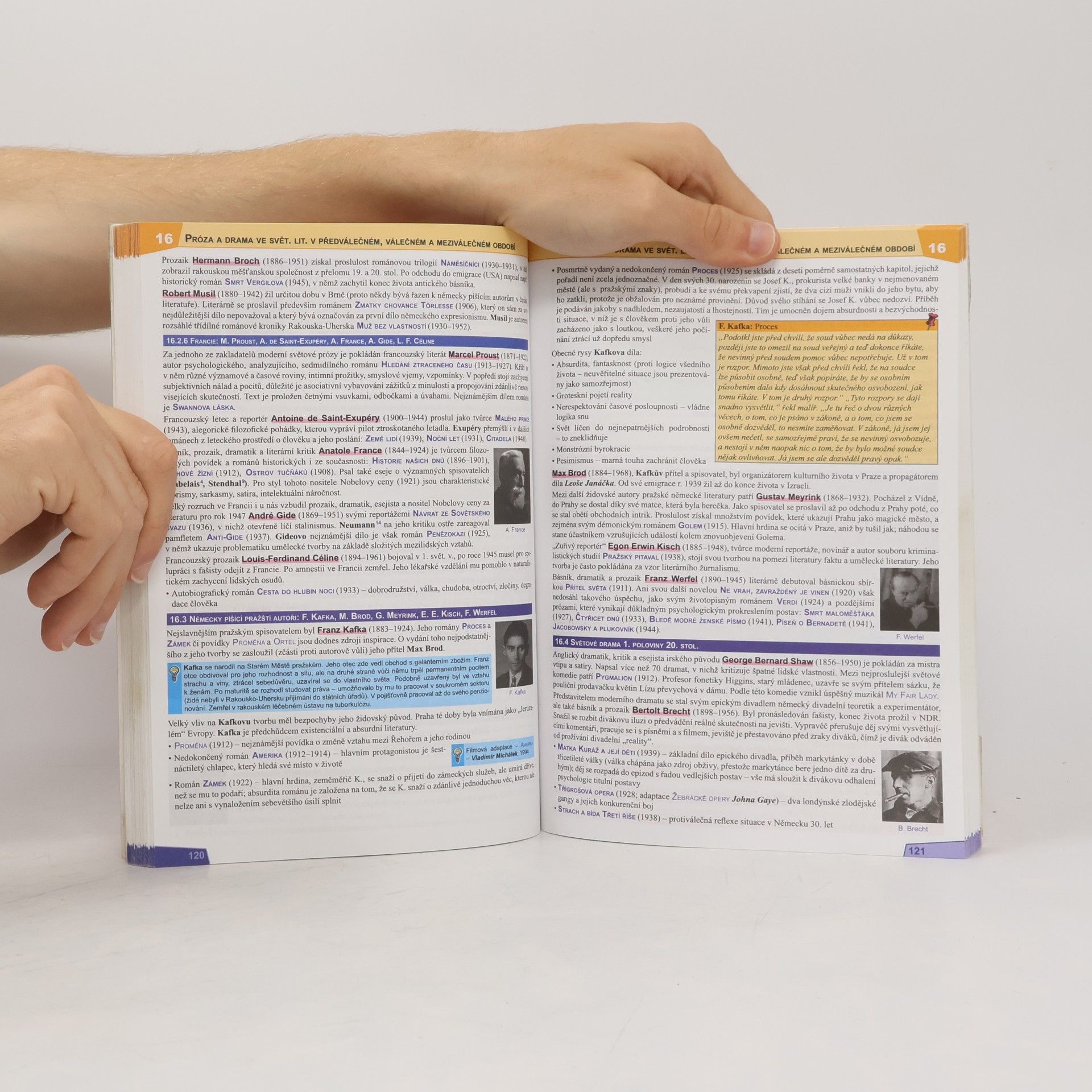 Taťána Polášková Literatura : přehled středoškolského učiva : včetně současné literatury