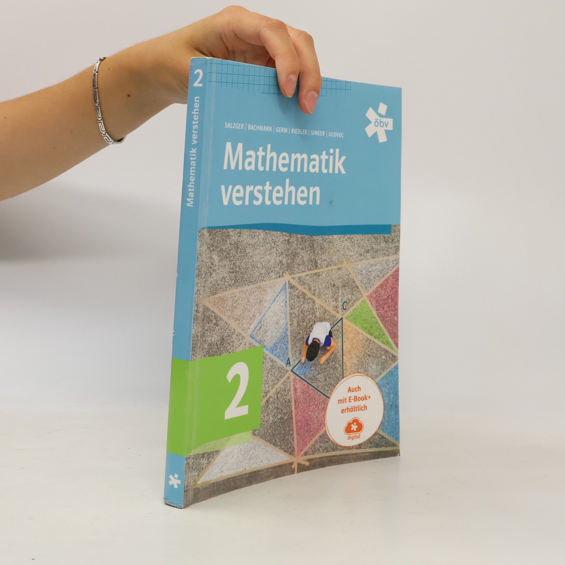 Mathematik verstehen