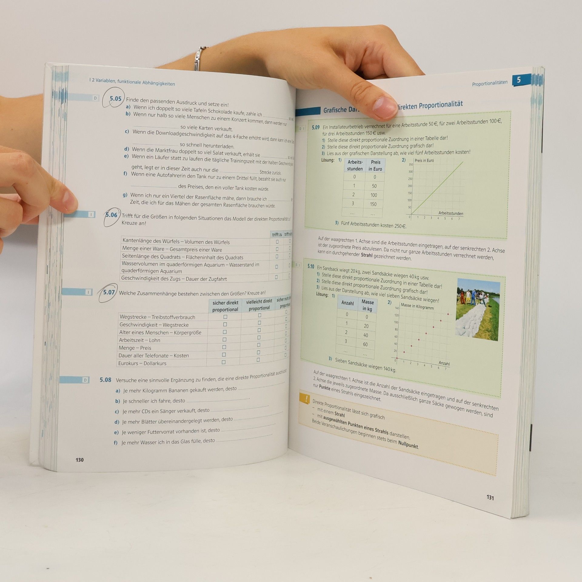 Bernhard Salzger Mathematik verstehen