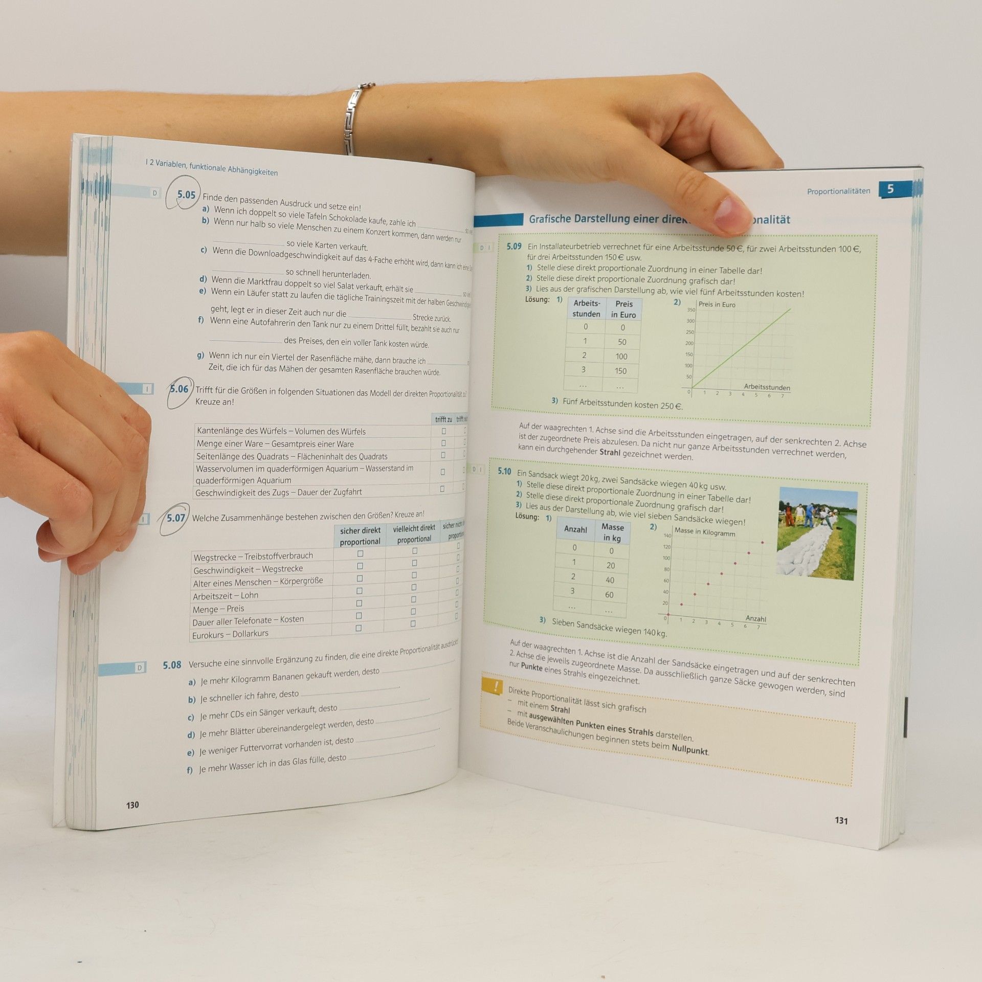 Bernhard Salzger Mathematik verstehen