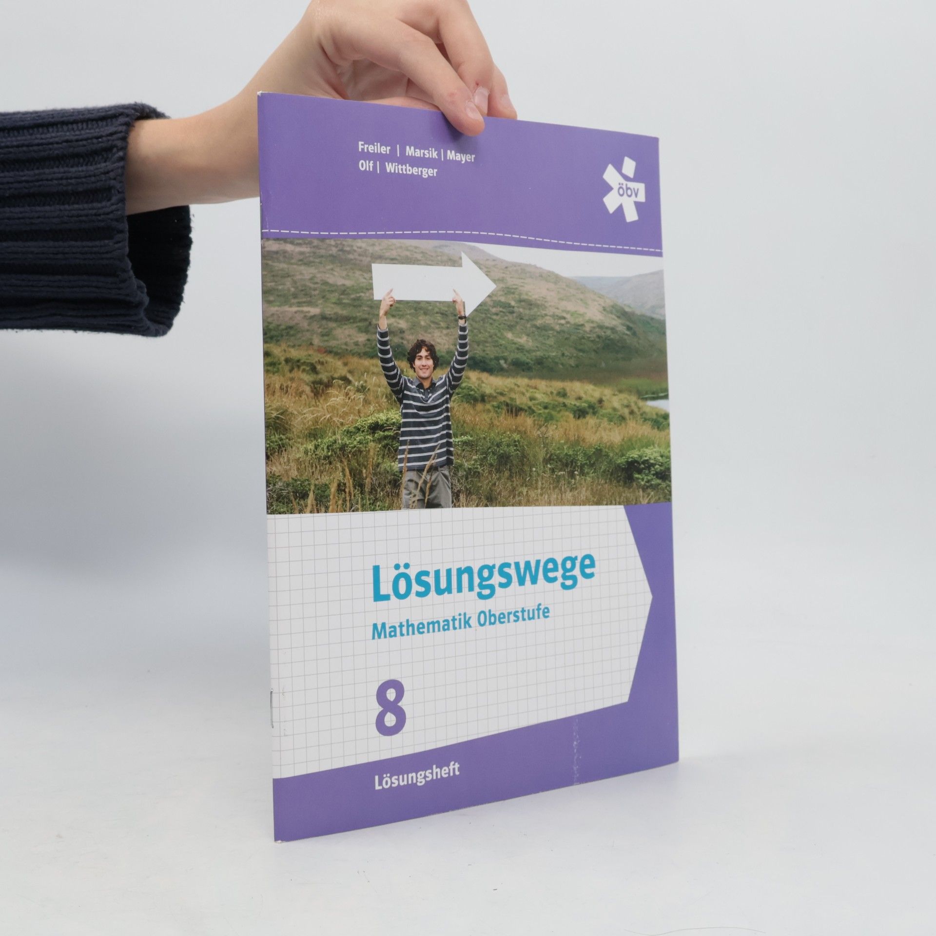 Lösungswege Mathematik Oberstufe 8