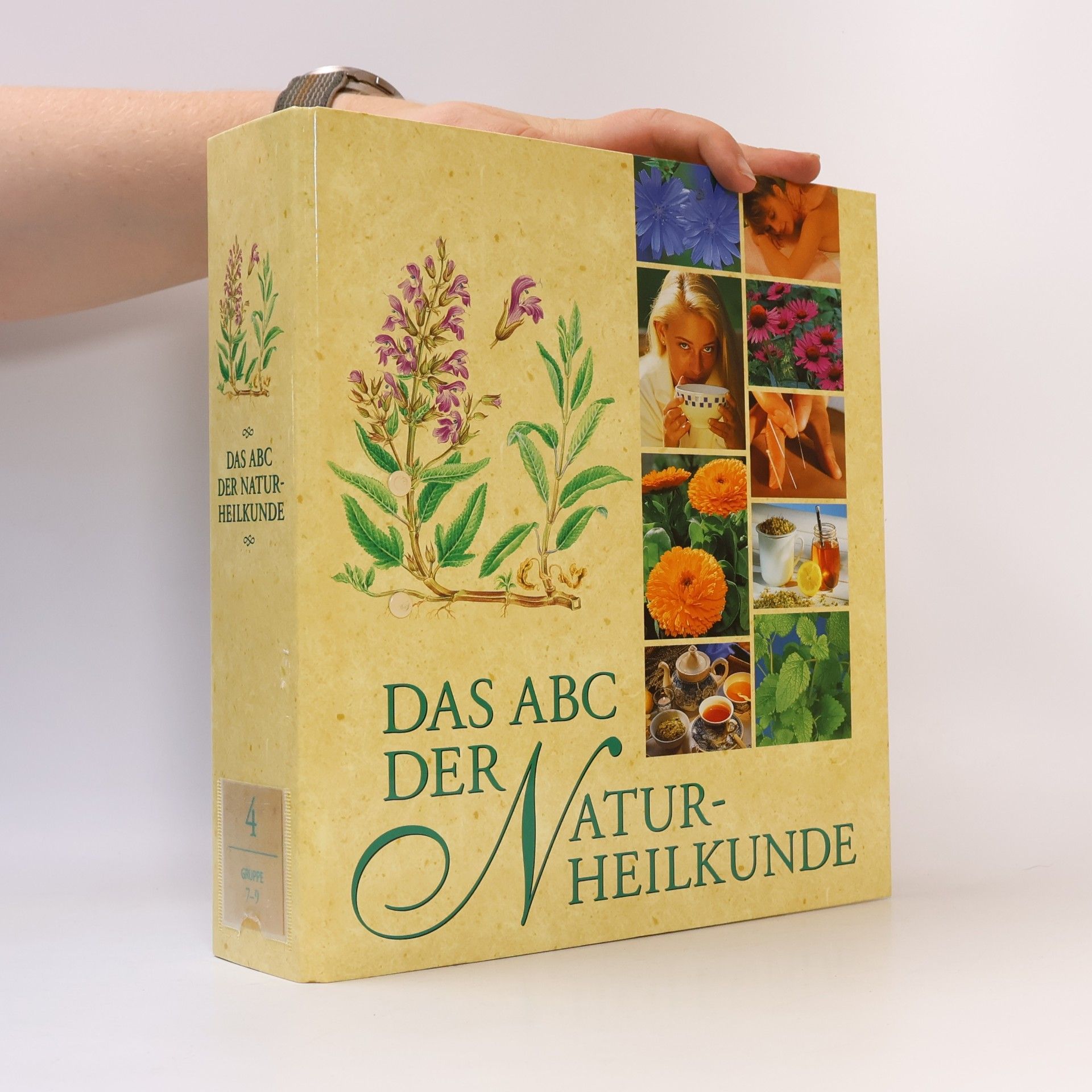 Autorenkollektiv Das ABC der Naturheilkunde 4