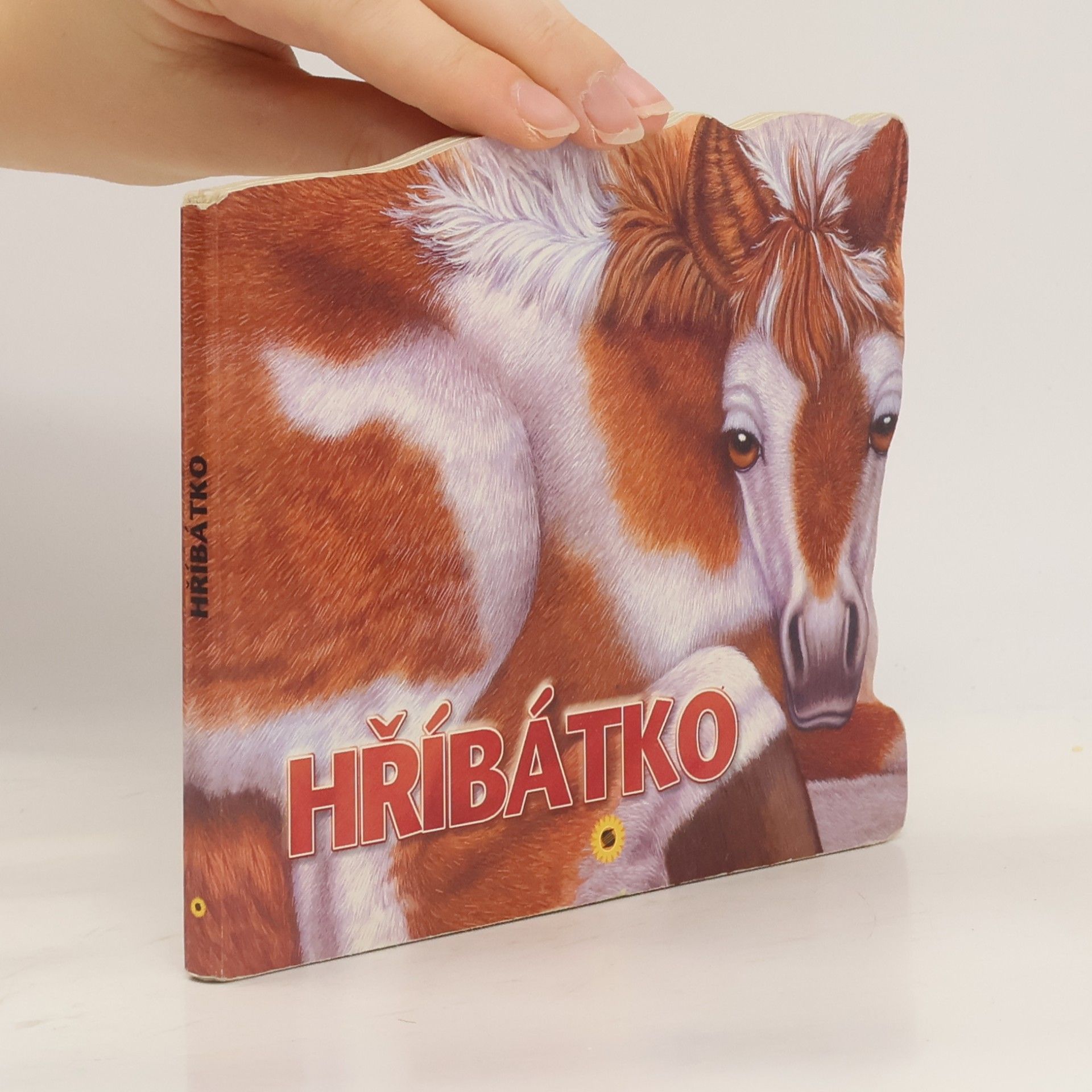 Hříbátko