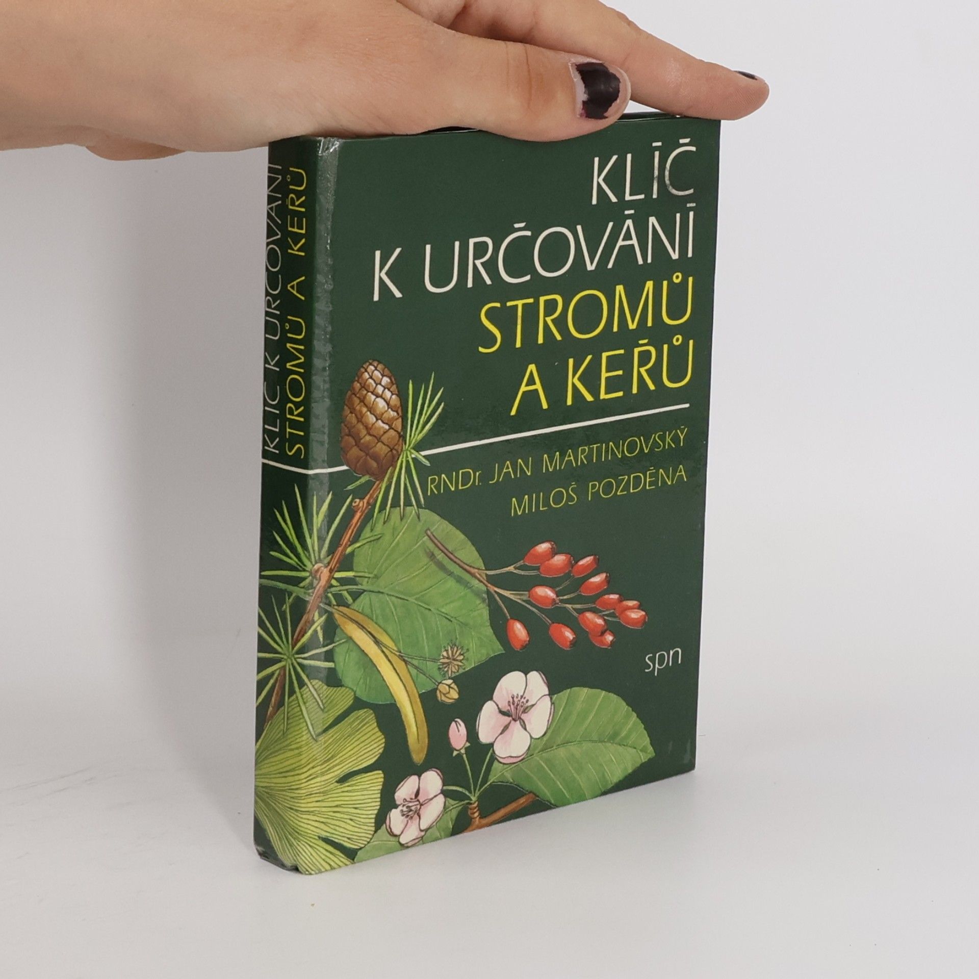 Klíč k určování stromů a keřů