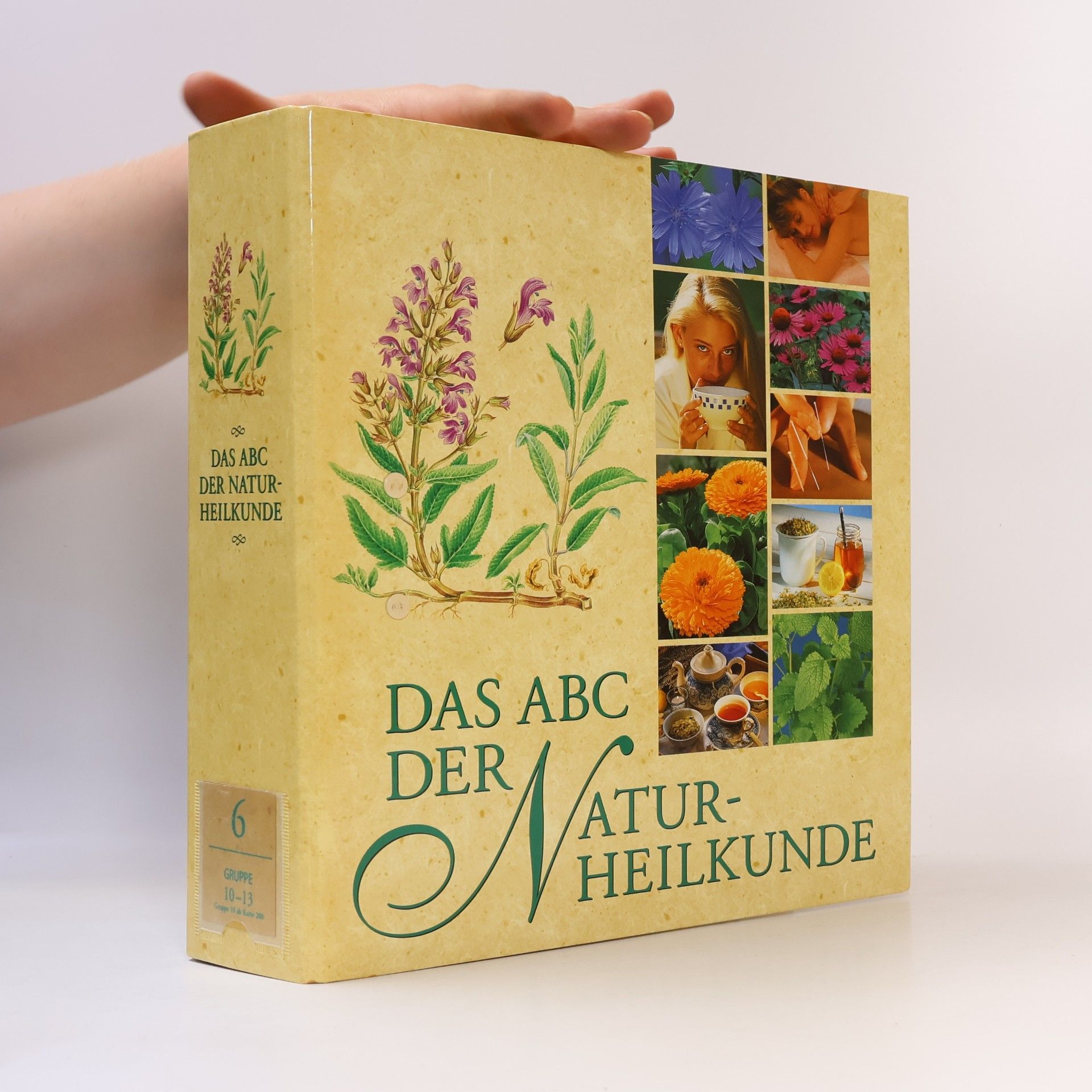 Autorenkollektiv Das ABC der Naturheilkunde 6. Gruppe 10-13